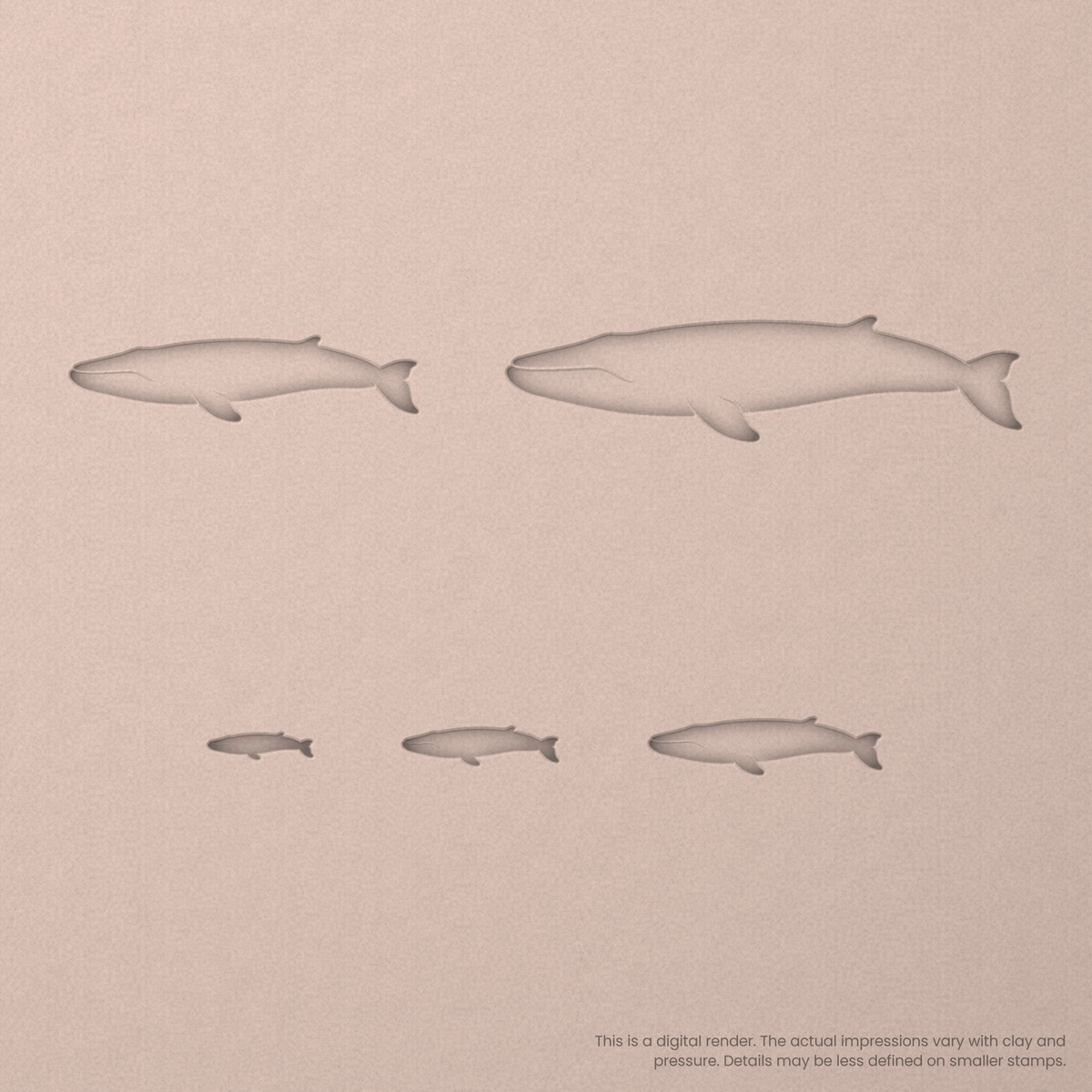 Blue Whale Stamps - Ceramind® Tools