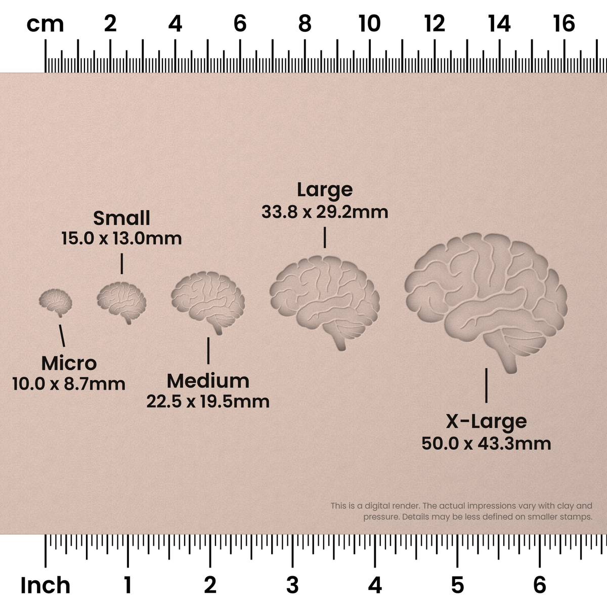 Brain (Side View) Stamps