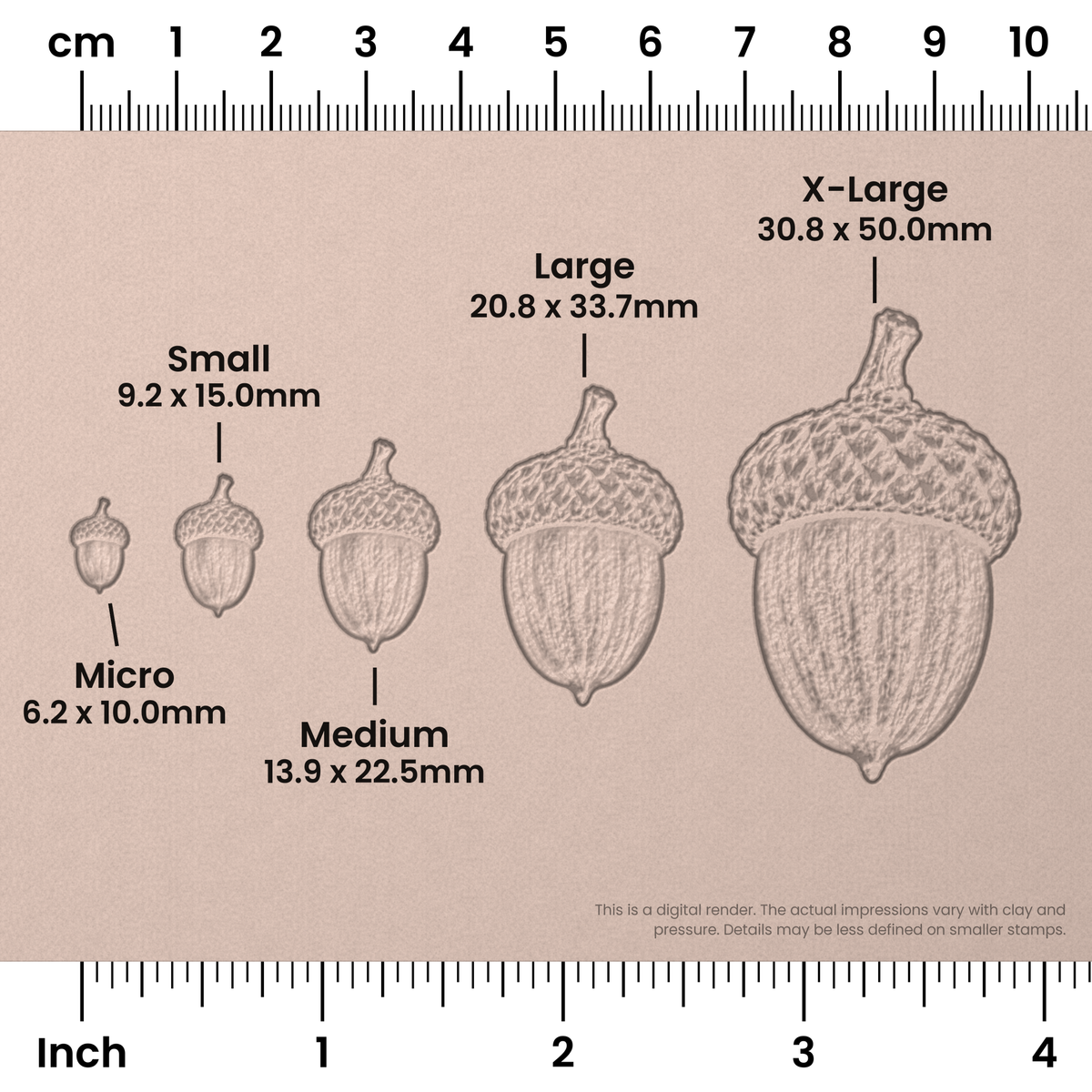 Acorn Stamps - Photo Textured