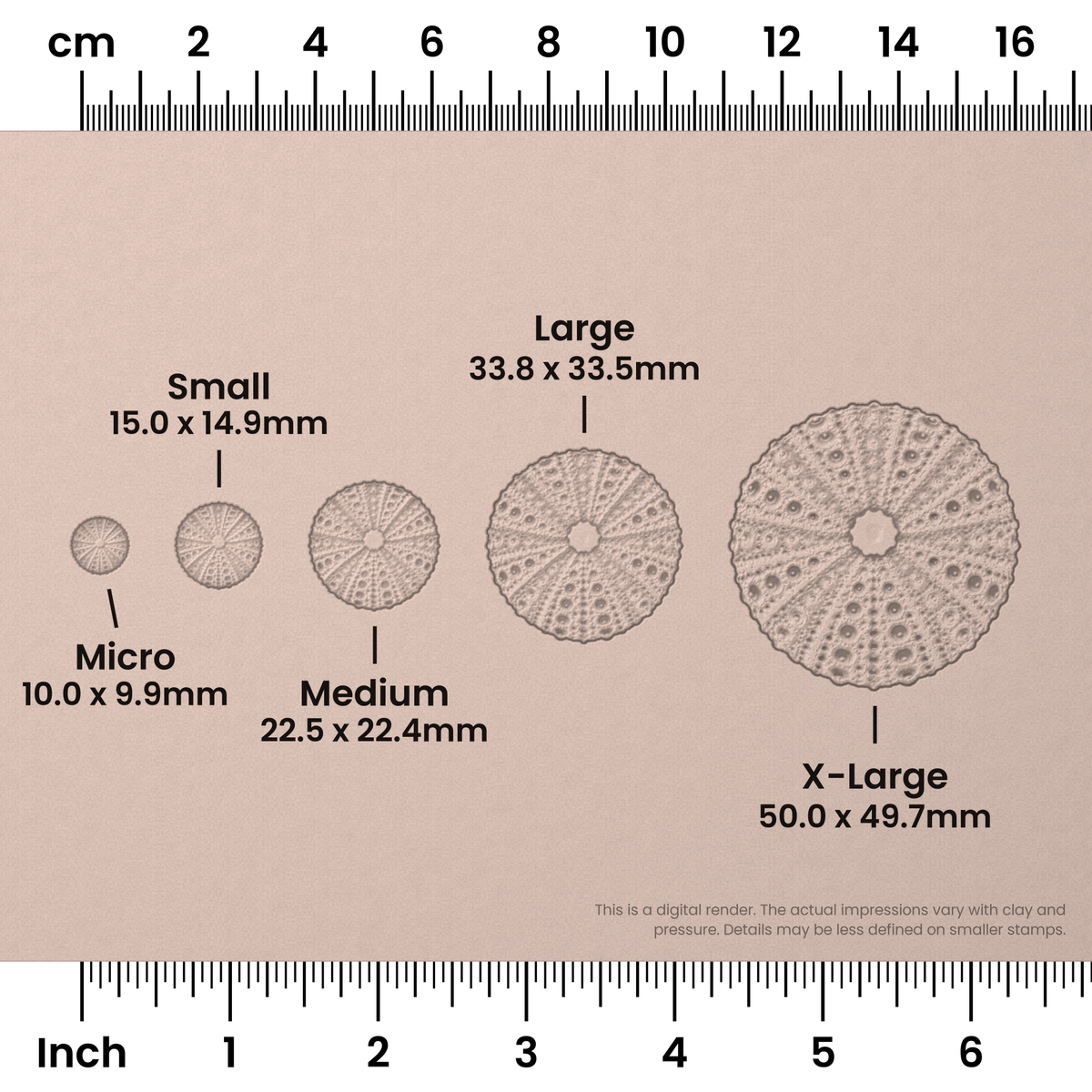 Sea Urchin Stamps - Photo Textured