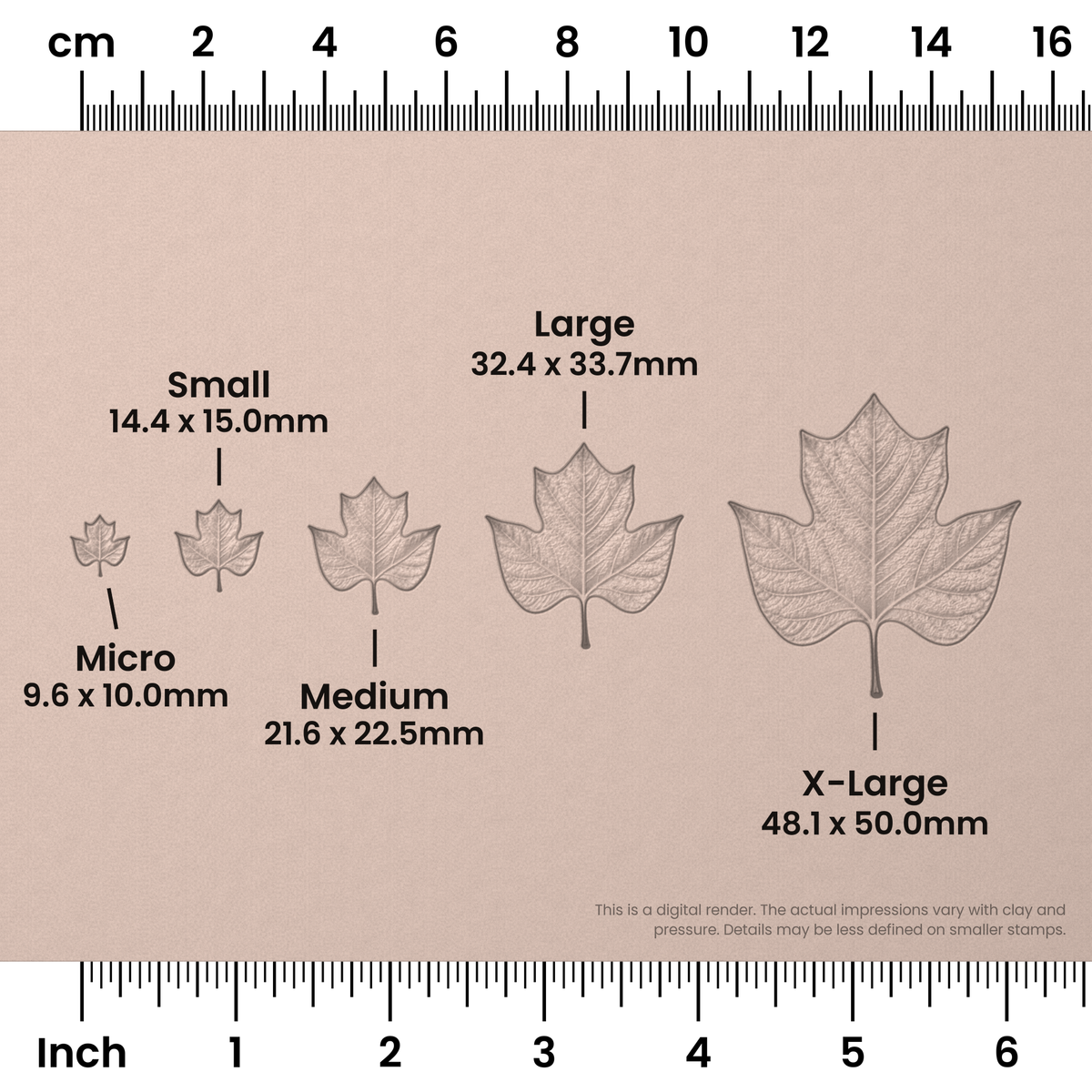 Tulip Tree Leaf Stamps - Photo Textured