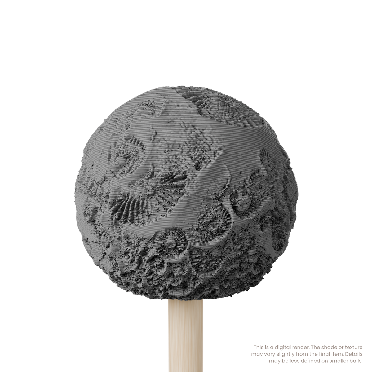 Texture Ball | Fossil Texture - Style 01 - Ceramind® Tools