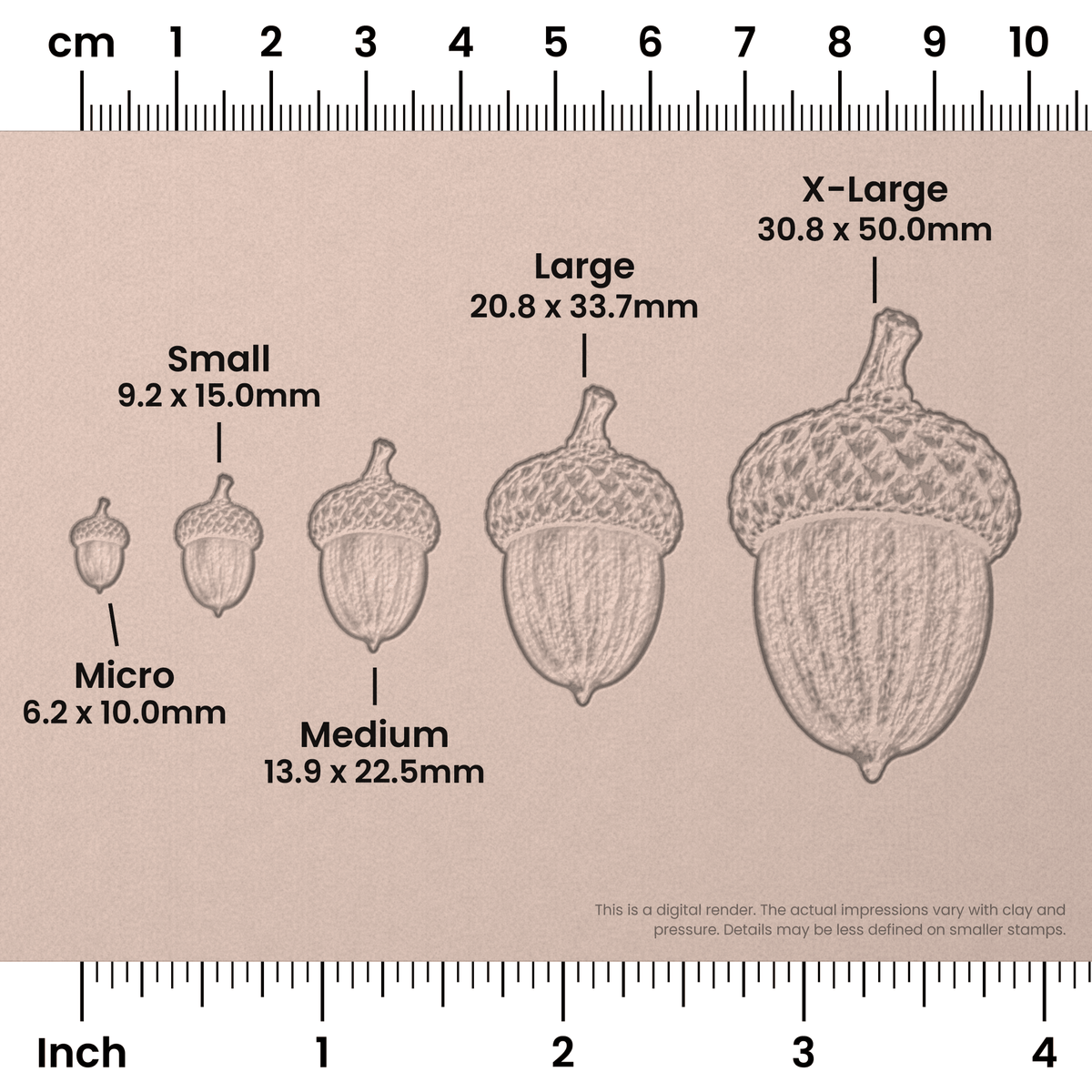 Acorn Stamps - Photo Textured - Ceramind® Tools