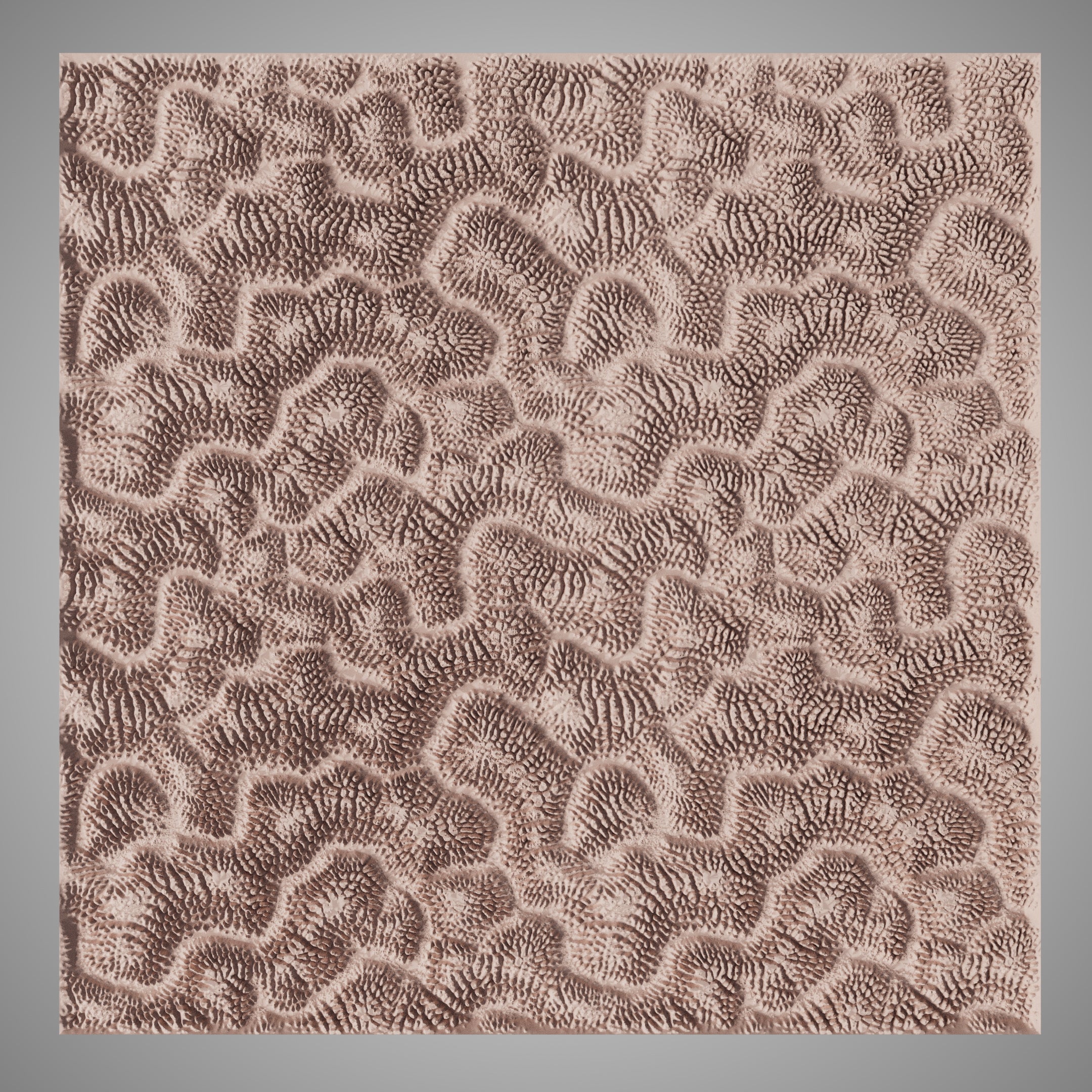 Clay Texture Roller - Coral Texture - Variation 01 - Ceramind® Tools