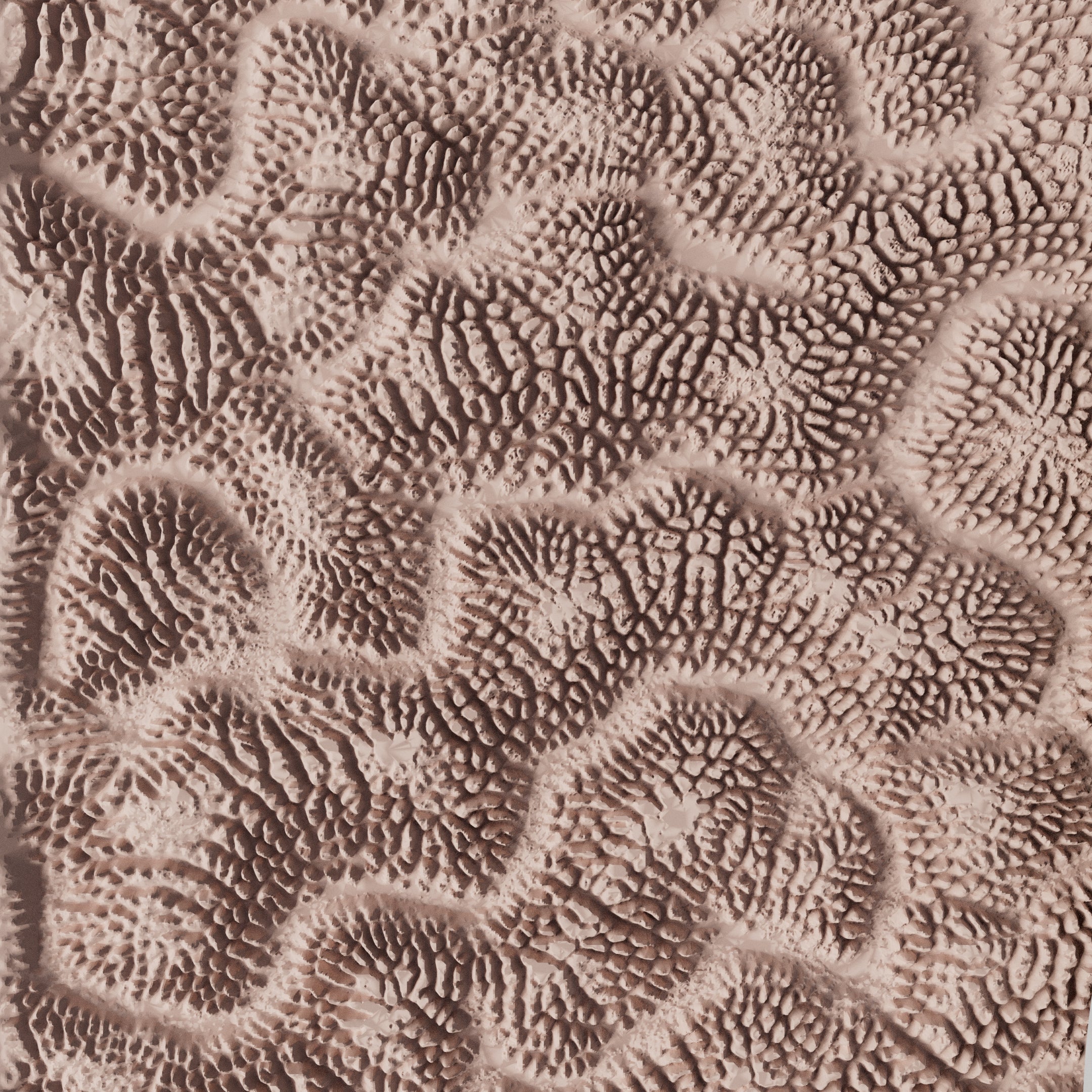 Clay Texture Roller - Coral Texture - Variation 01 - Ceramind® Tools