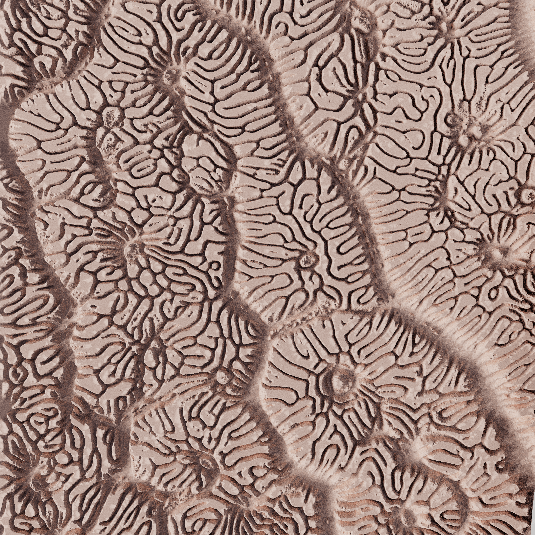 Clay Texture Roller - Coral Texture - Variation 03 - Ceramind® Tools