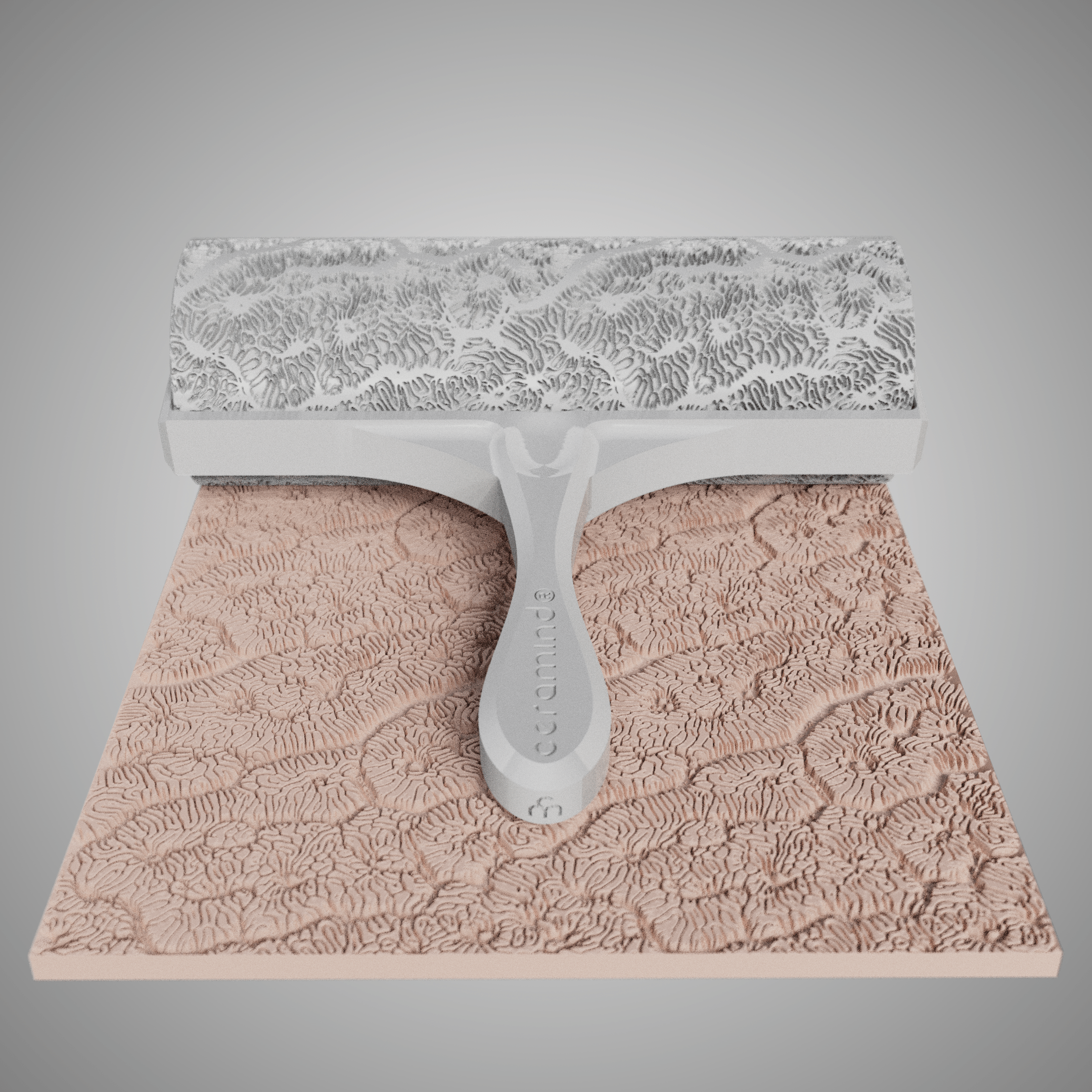 Clay Texture Roller - Coral Texture - Variation 03 - Ceramind® Tools