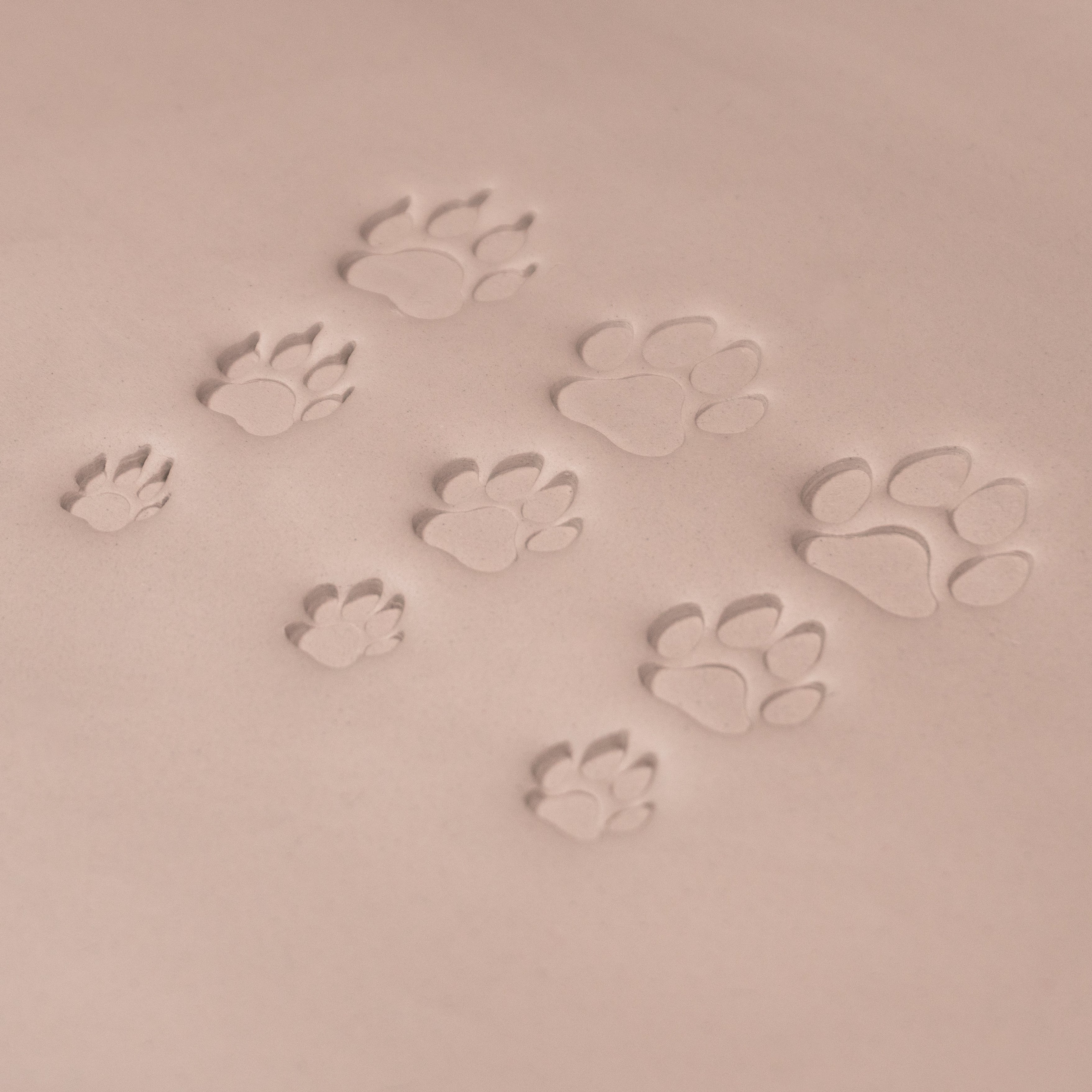 Dog Paw Stamps - Ceramind® Tools