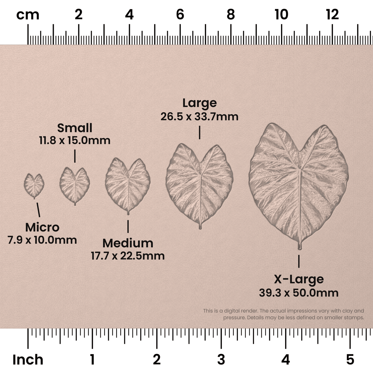 Elephant Leaf Stamps - Photo Textured - Ceramind® Tools