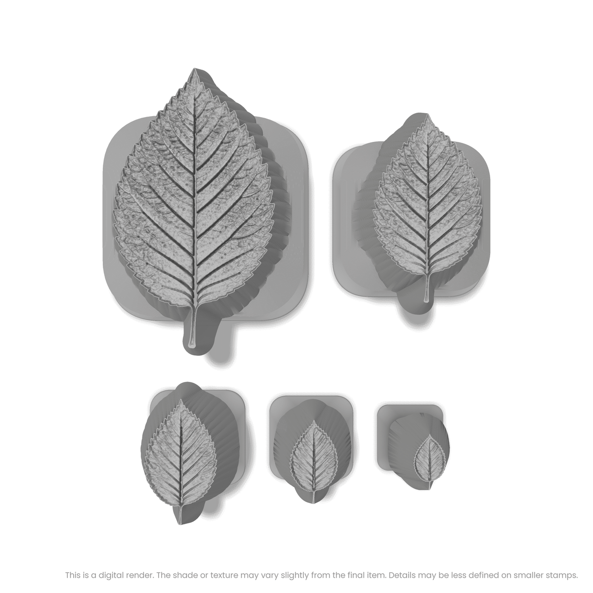 Elm Leaf Stamps - Photo Textured - Ceramind® Tools