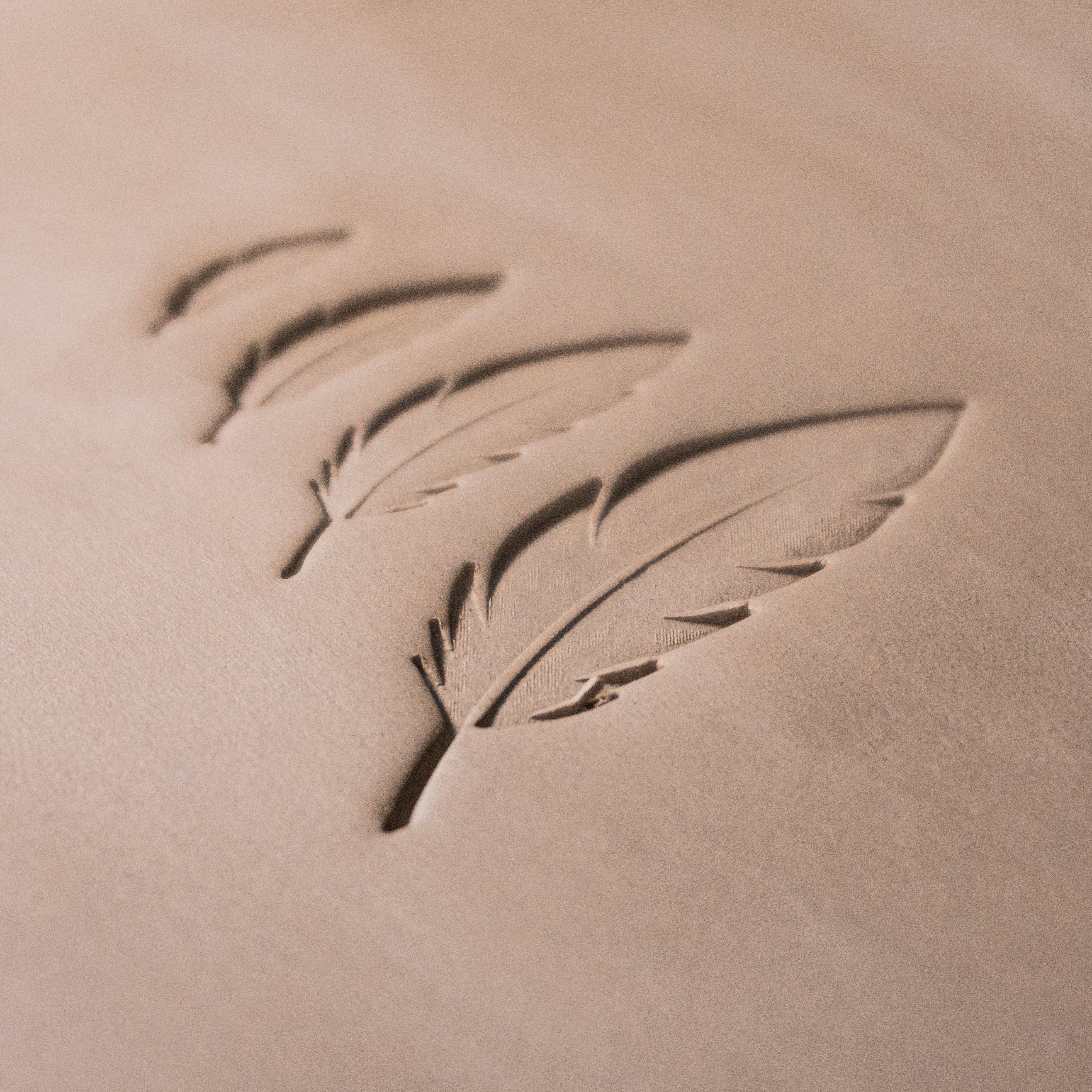 Feather Stamps - Ceramind® Tools