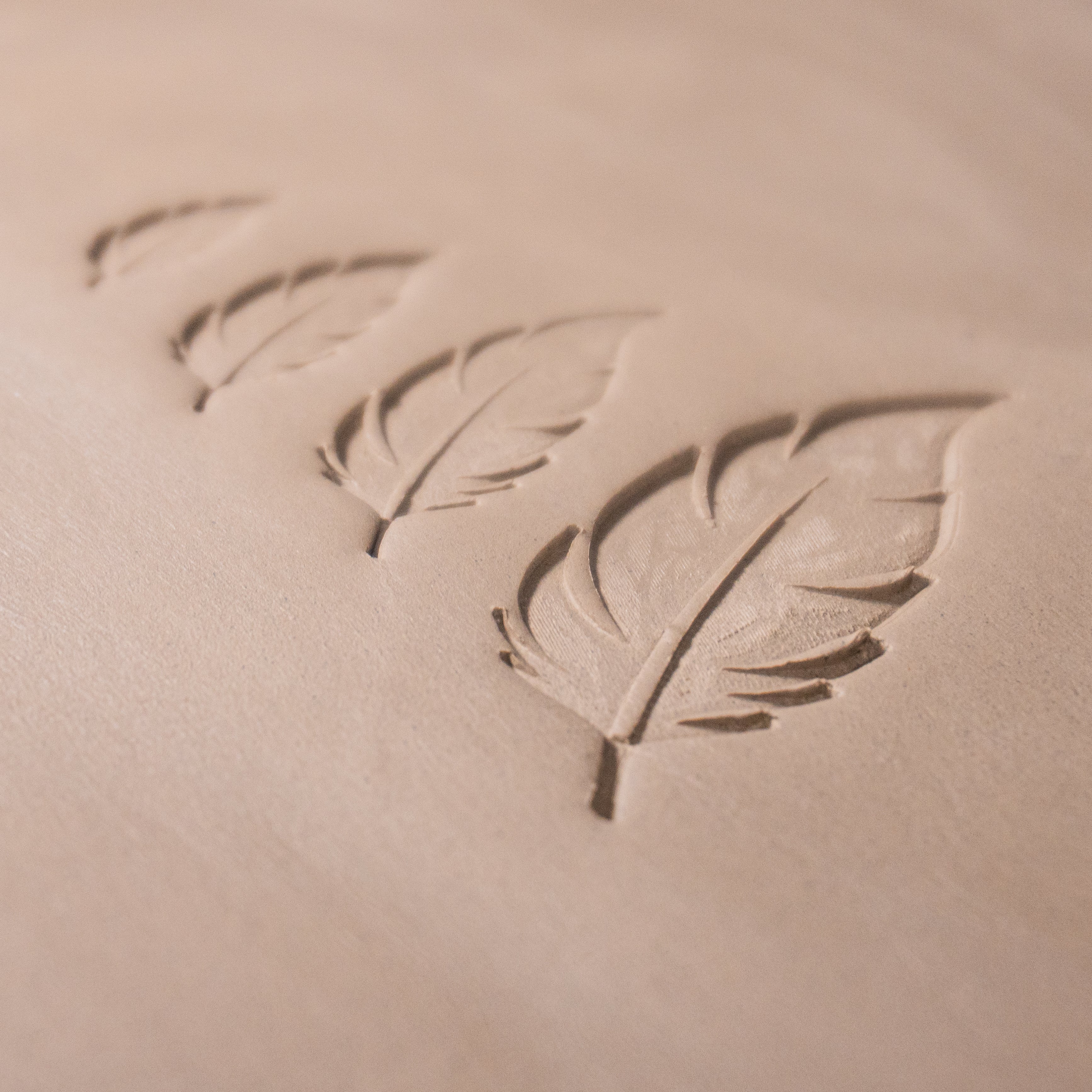 Feather Stamps - Ceramind® Tools
