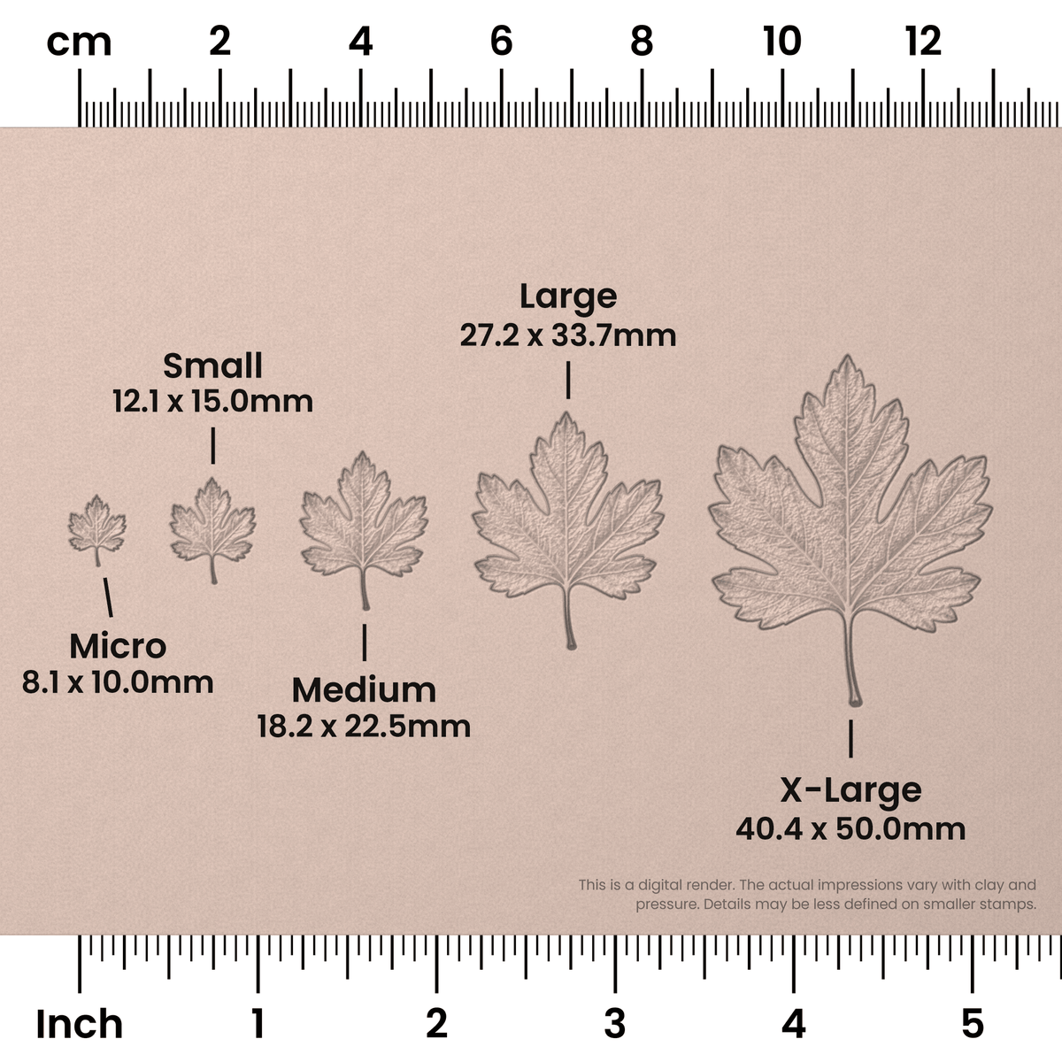 Hawthorn Leaf Stamps - Photo Textured - Ceramind® Tools