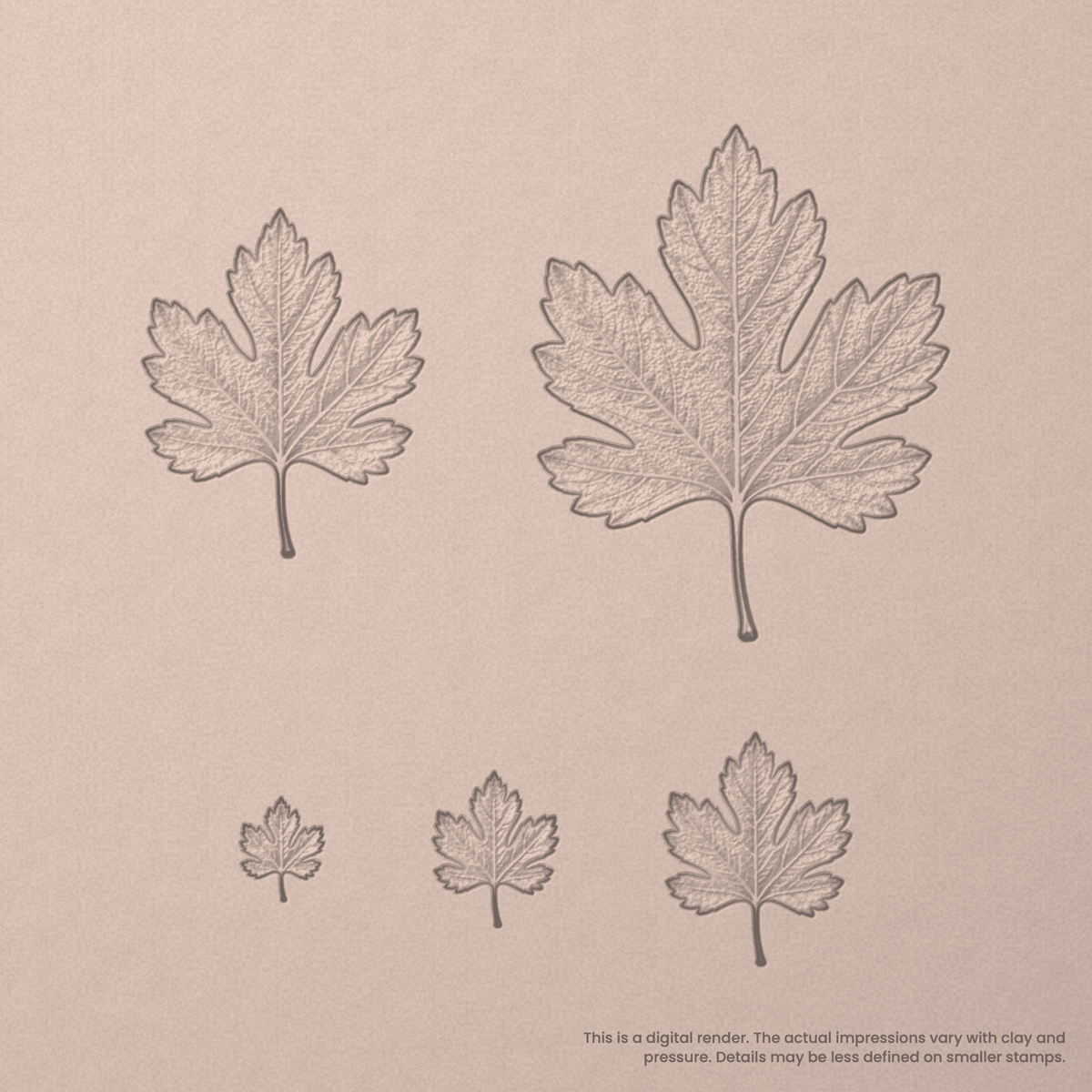 Hawthorn Leaf Stamps - Photo Textured - Ceramind® Tools