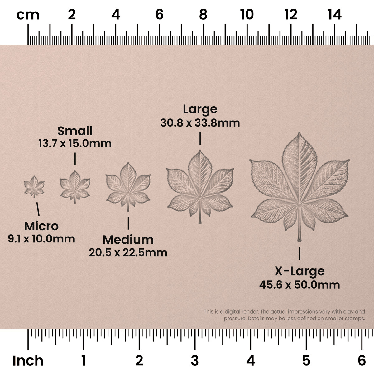 Horse Chestnut Leaf Stamps - Photo Textured - Ceramind® Tools