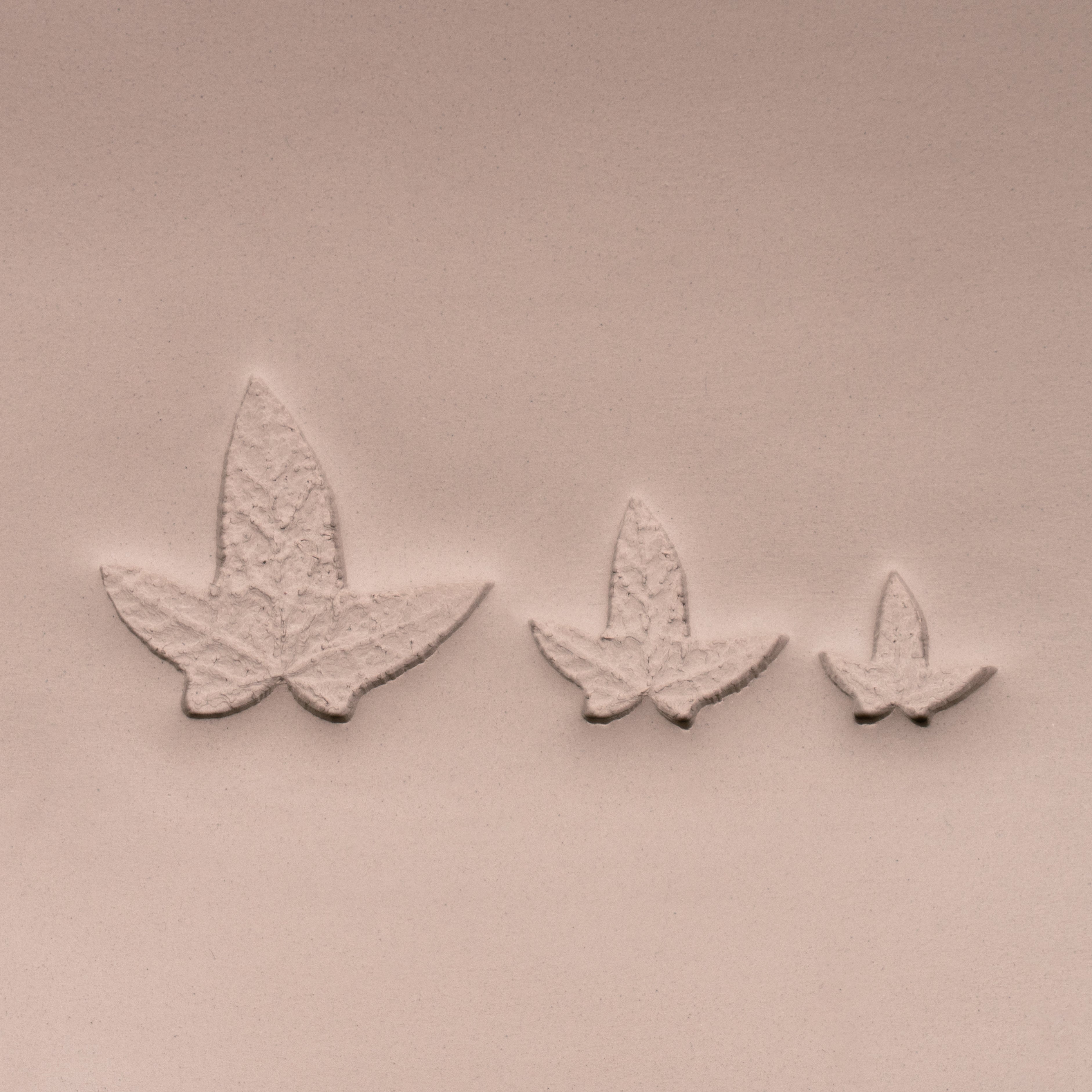 Efeu-Blatt-Stempel - Foto-Texturiert
