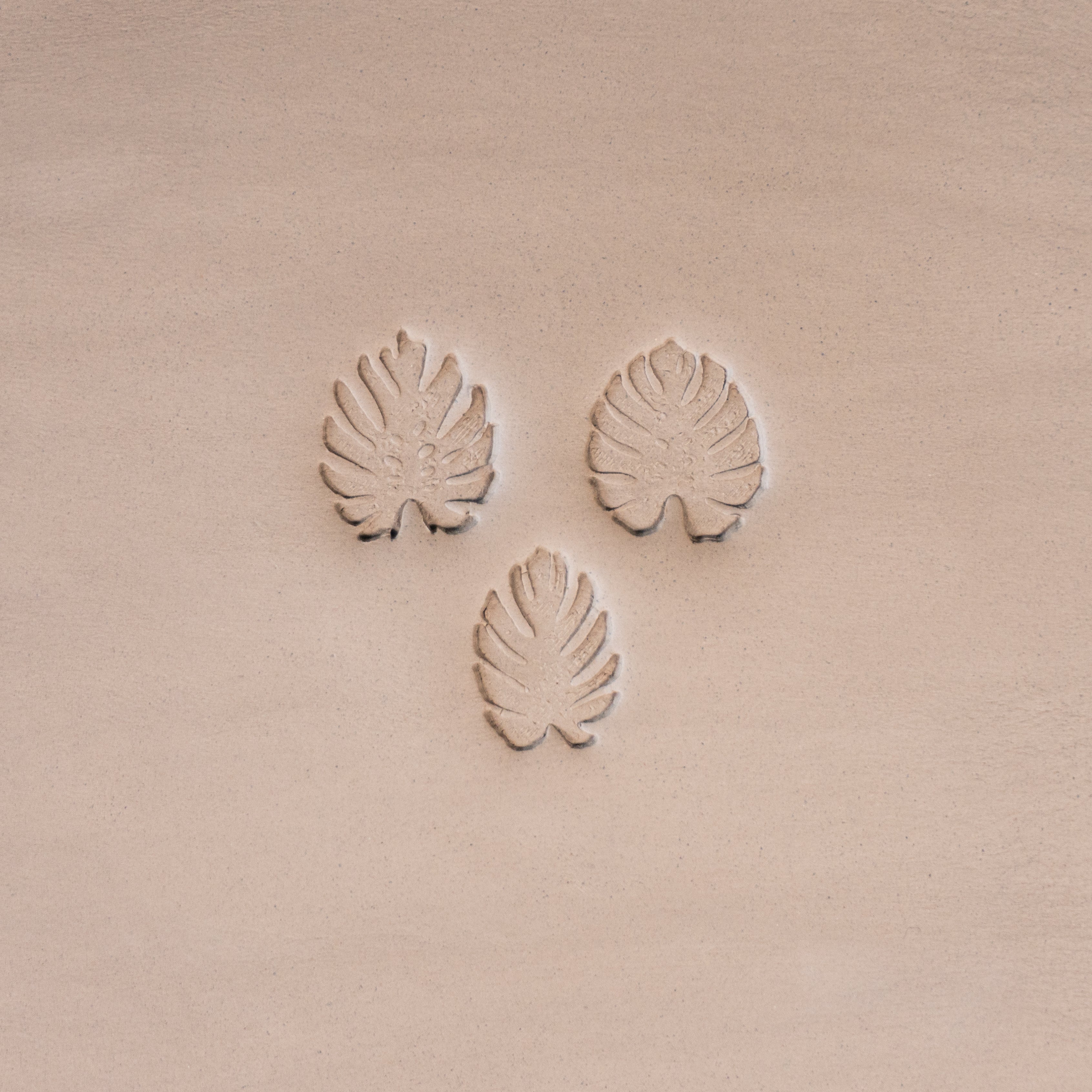 Monstera Leaf Stamps - 3 Styles & Sizes - Ceramind® Tools