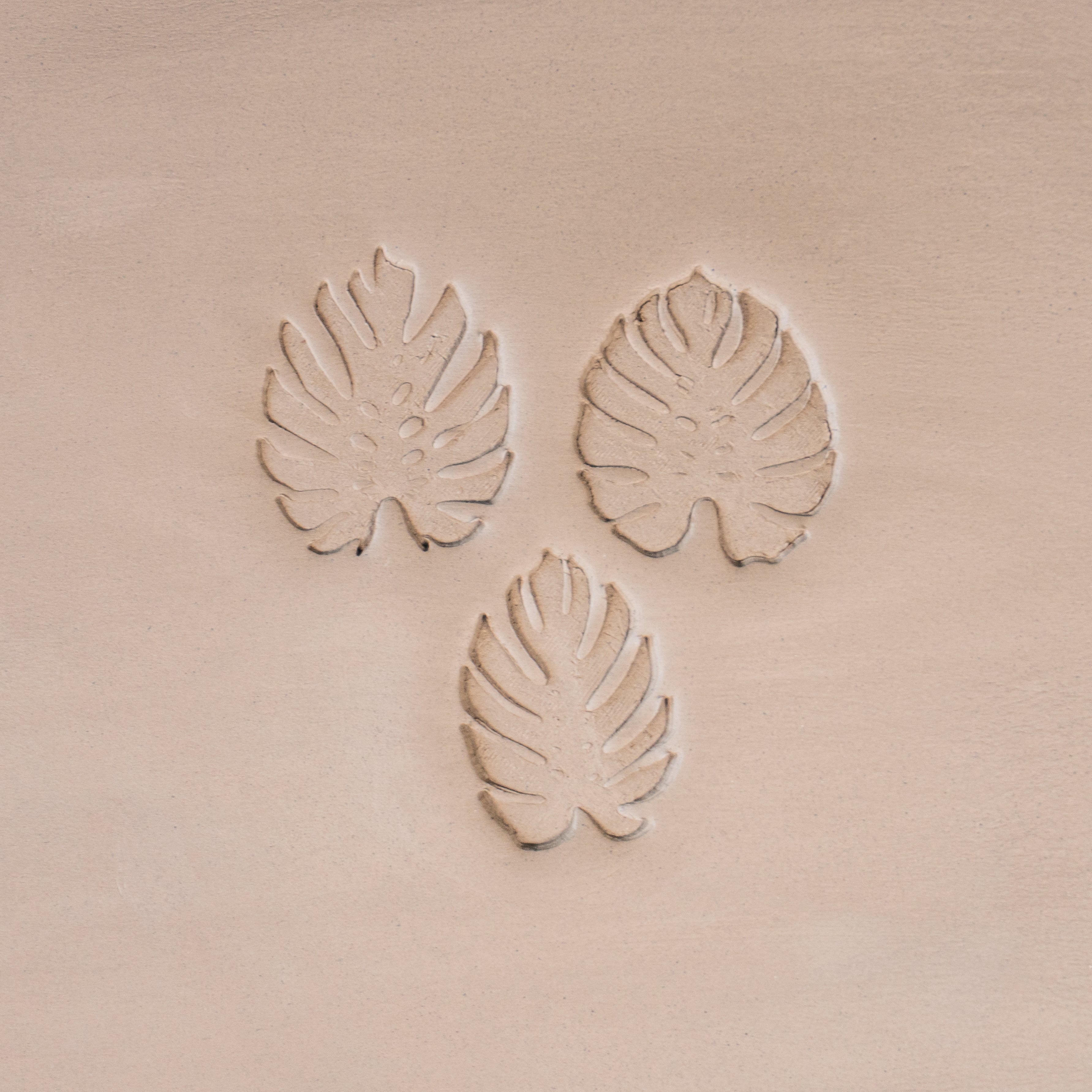 Monstera Leaf Stamps - 3 Styles & Sizes - Ceramind® Tools