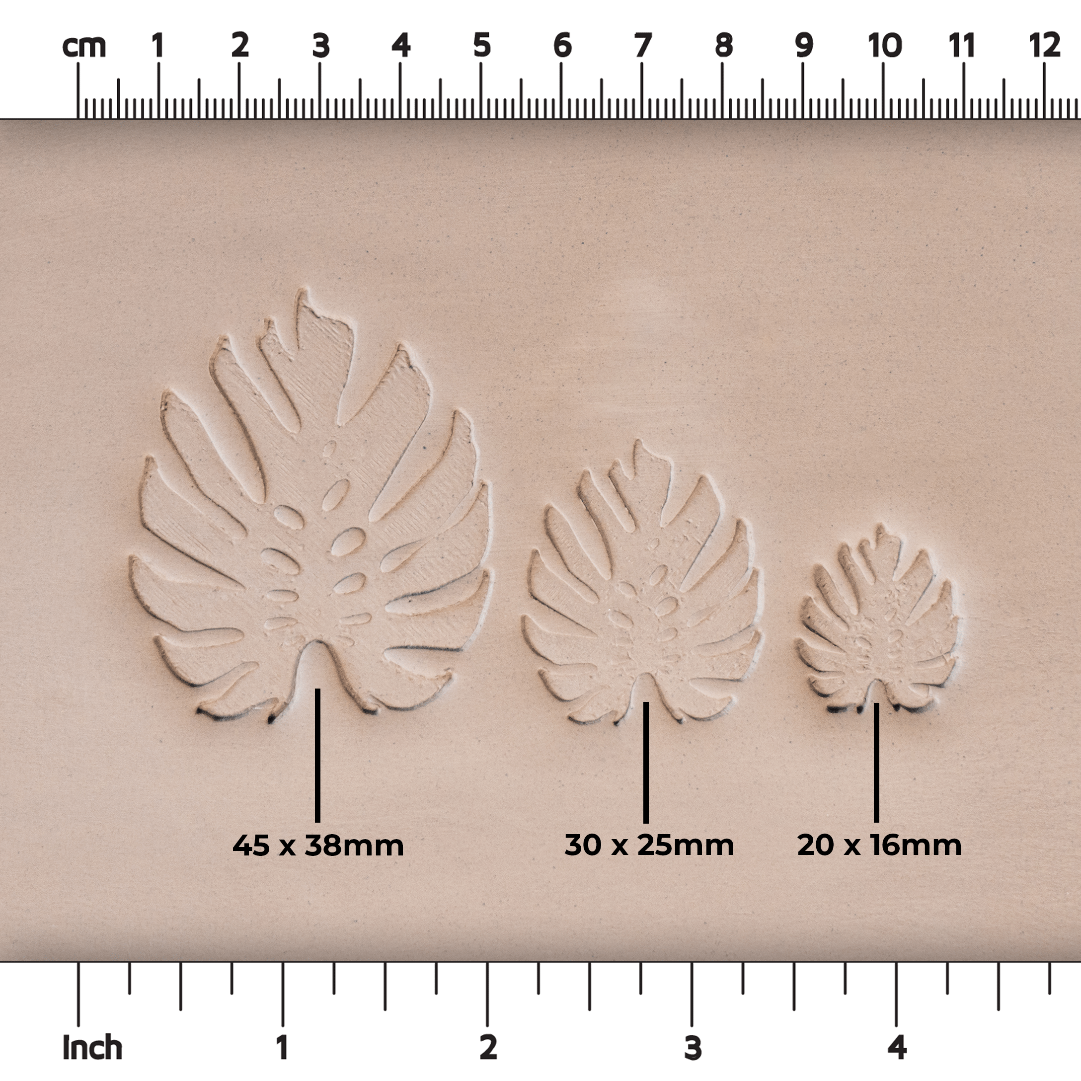 Monstera Leaf Stamps - 3 Styles & Sizes - Ceramind® Tools