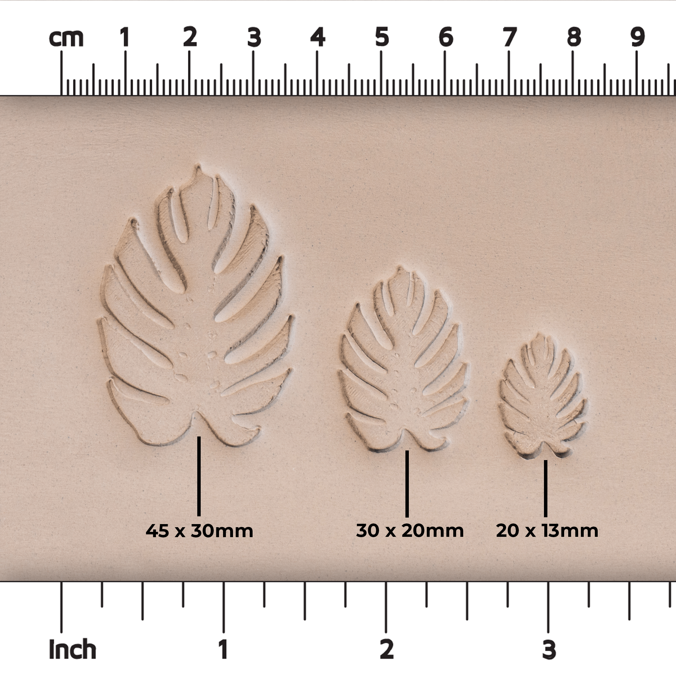 Monstera Leaf Stamps - 3 Styles & Sizes - Ceramind® Tools