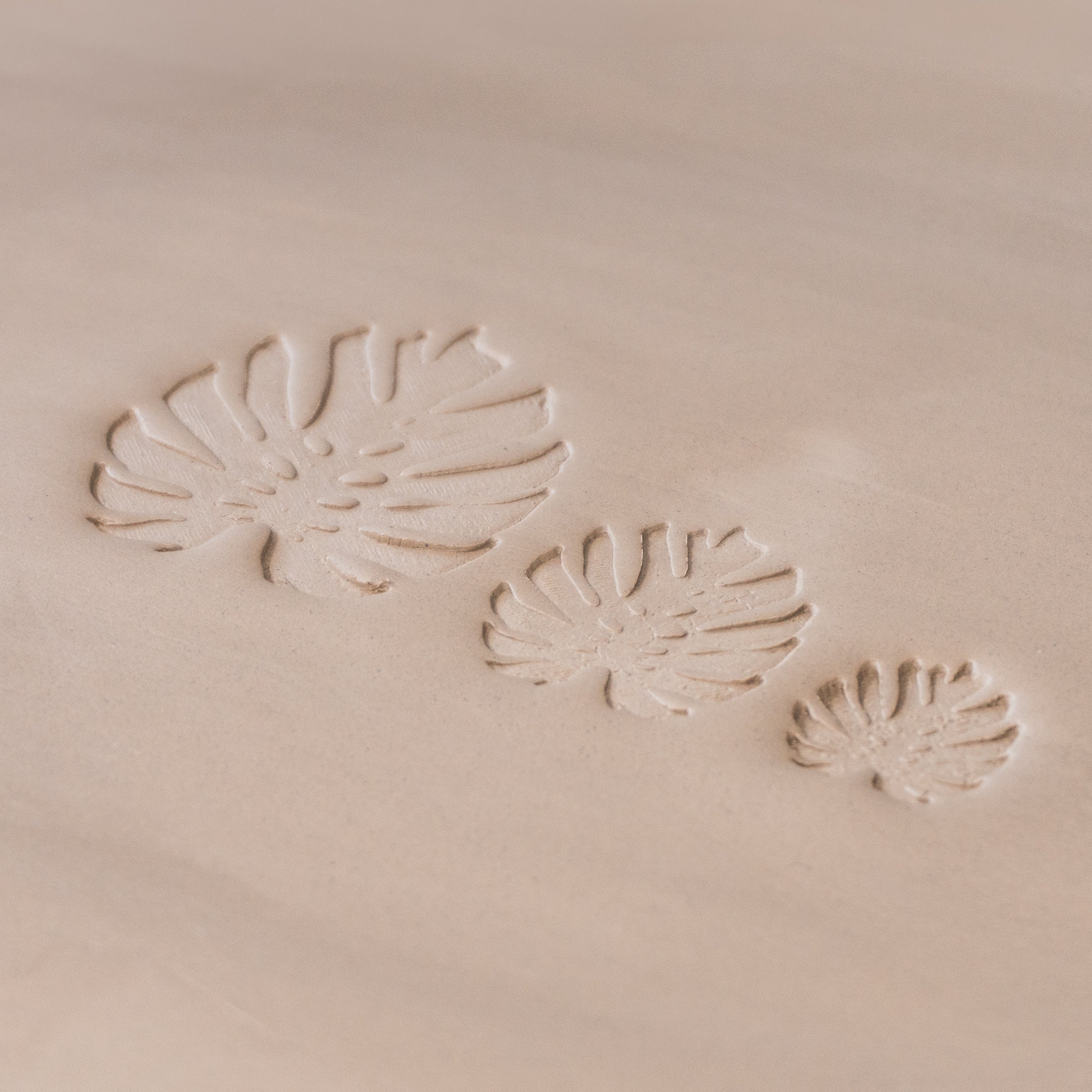 Monstera Leaf Stamps - 3 Styles & Sizes - Ceramind® Tools