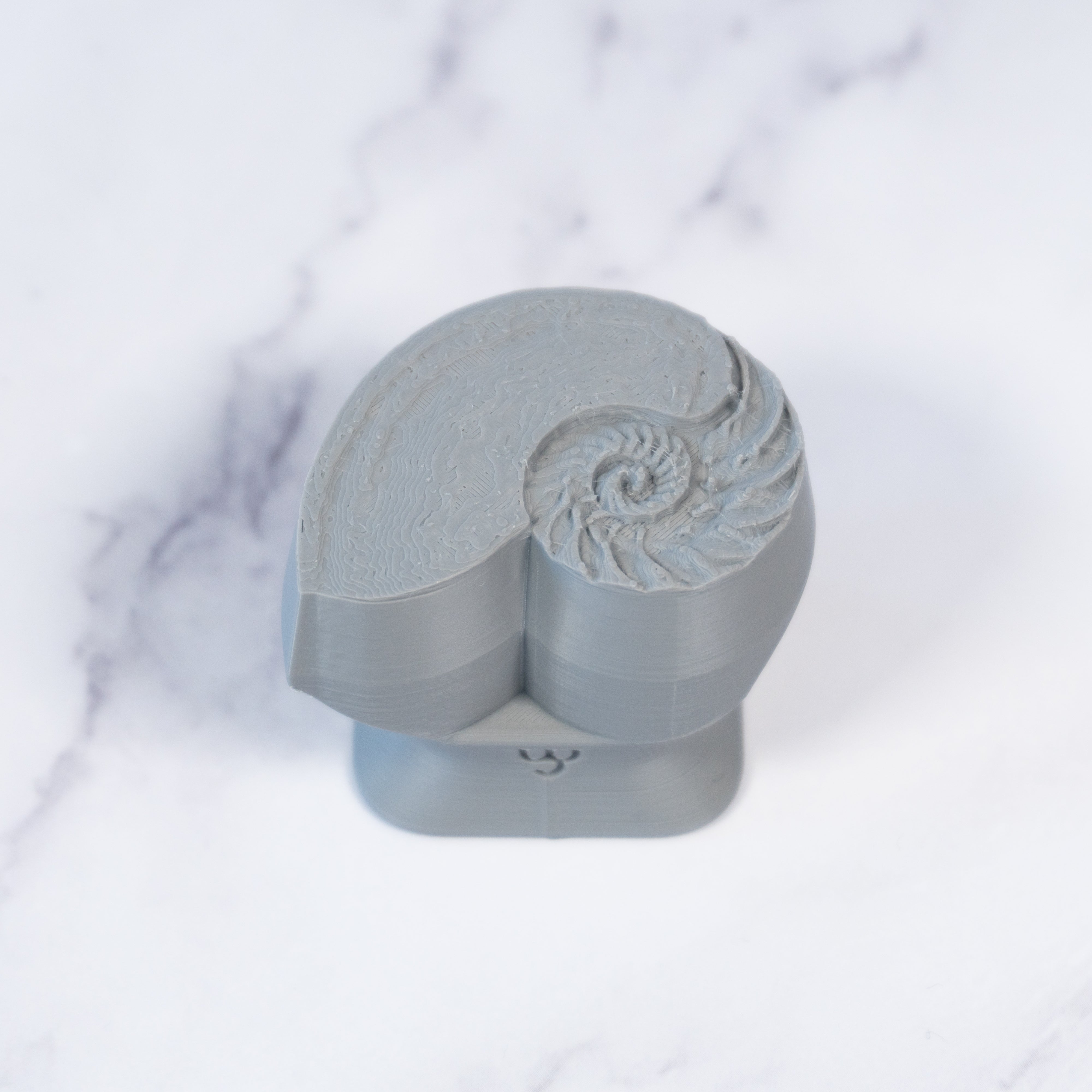 Nautilus Shell Stamp - Photo Textured - Style 1 - Ceramind® Tools