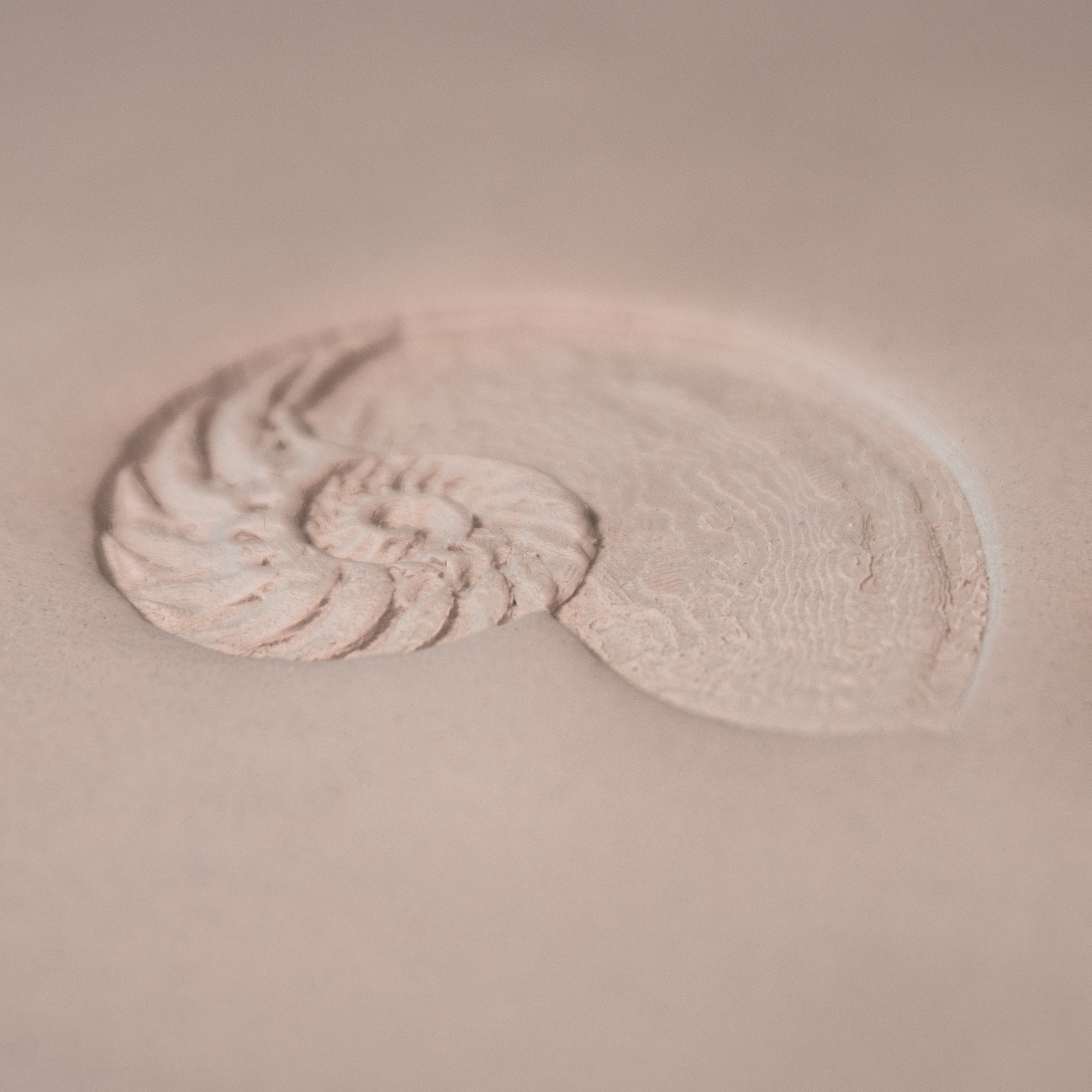Nautilus Shell Stamp - Photo Textured - Style 1 - Ceramind® Tools