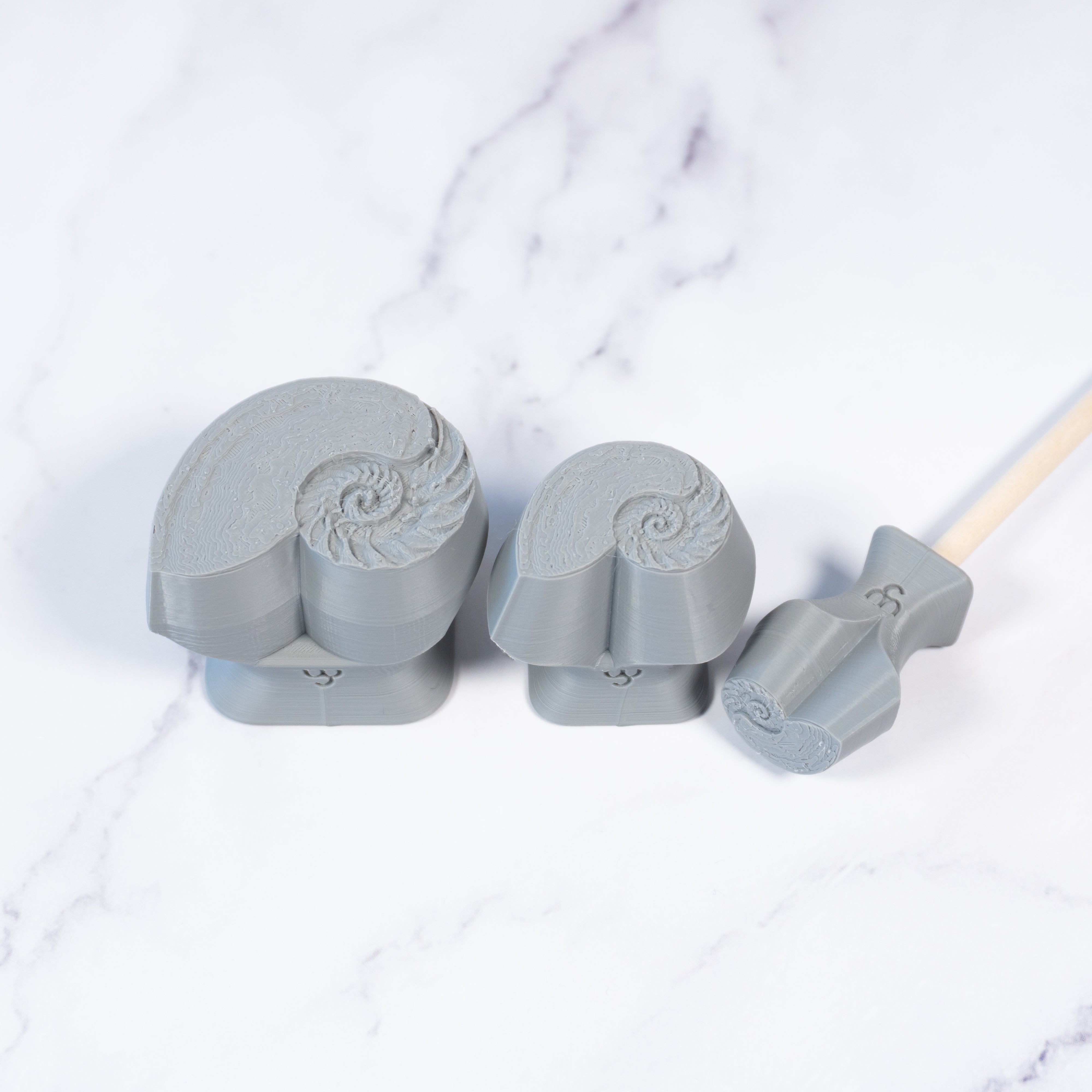 Nautilus Shell Stamp - Photo Textured - Style 1 - Ceramind® Tools