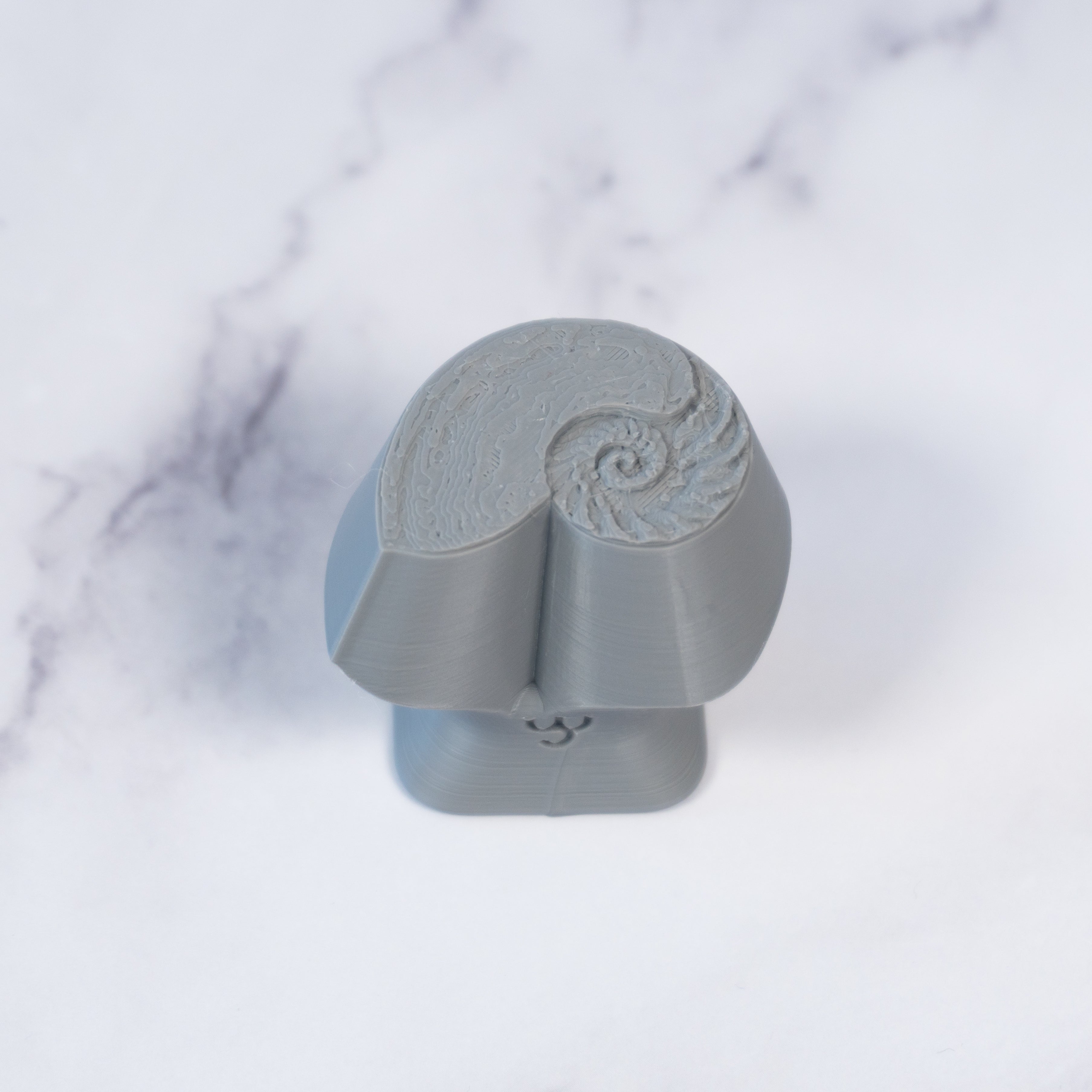 Nautilus Shell Stamp - Photo Textured - Style 1 - Ceramind® Tools