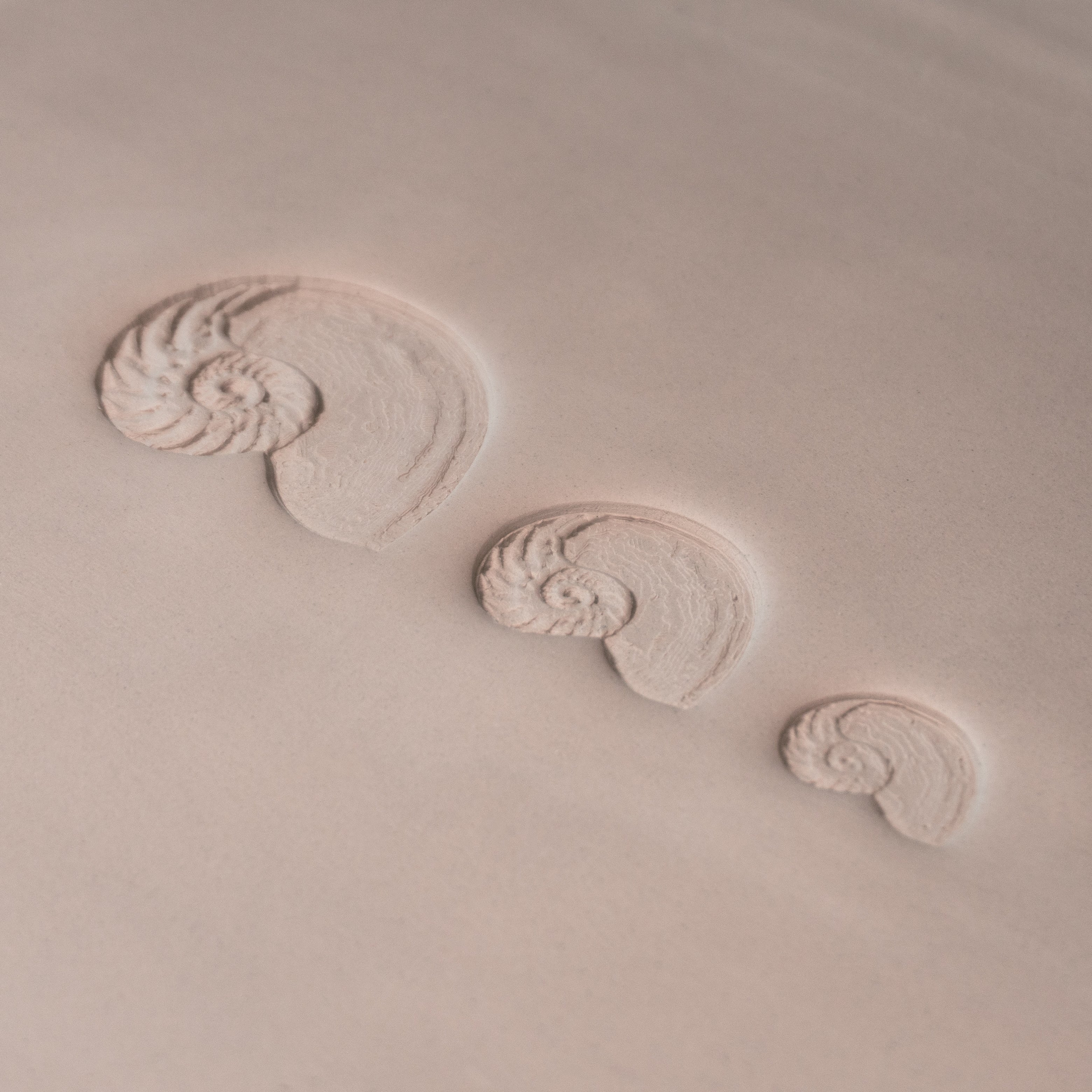 Nautilus Shell Stamp - Photo Textured - Style 1 - Ceramind® Tools