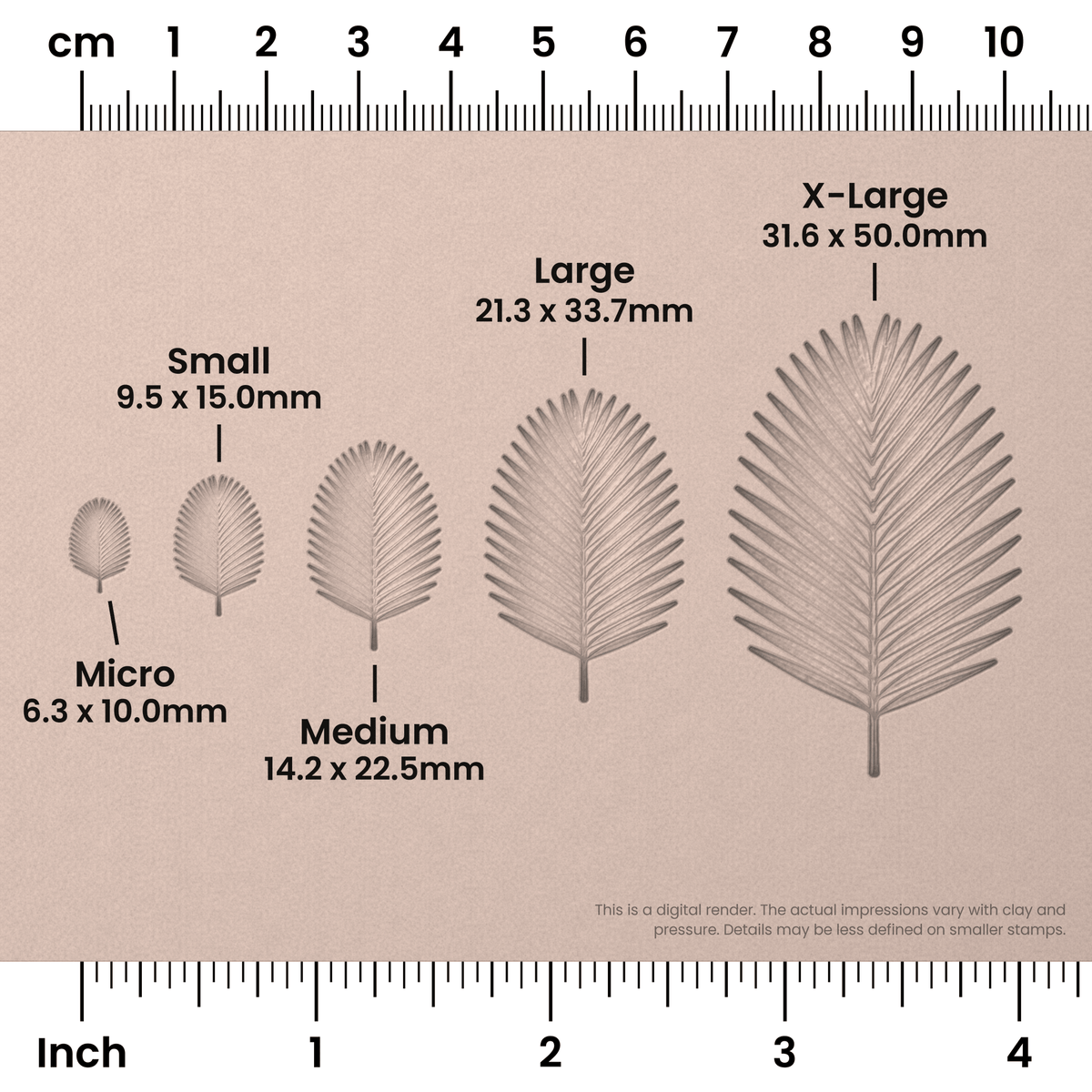 Palm Leaf Stamps - Photo Textured - Ceramind® Tools