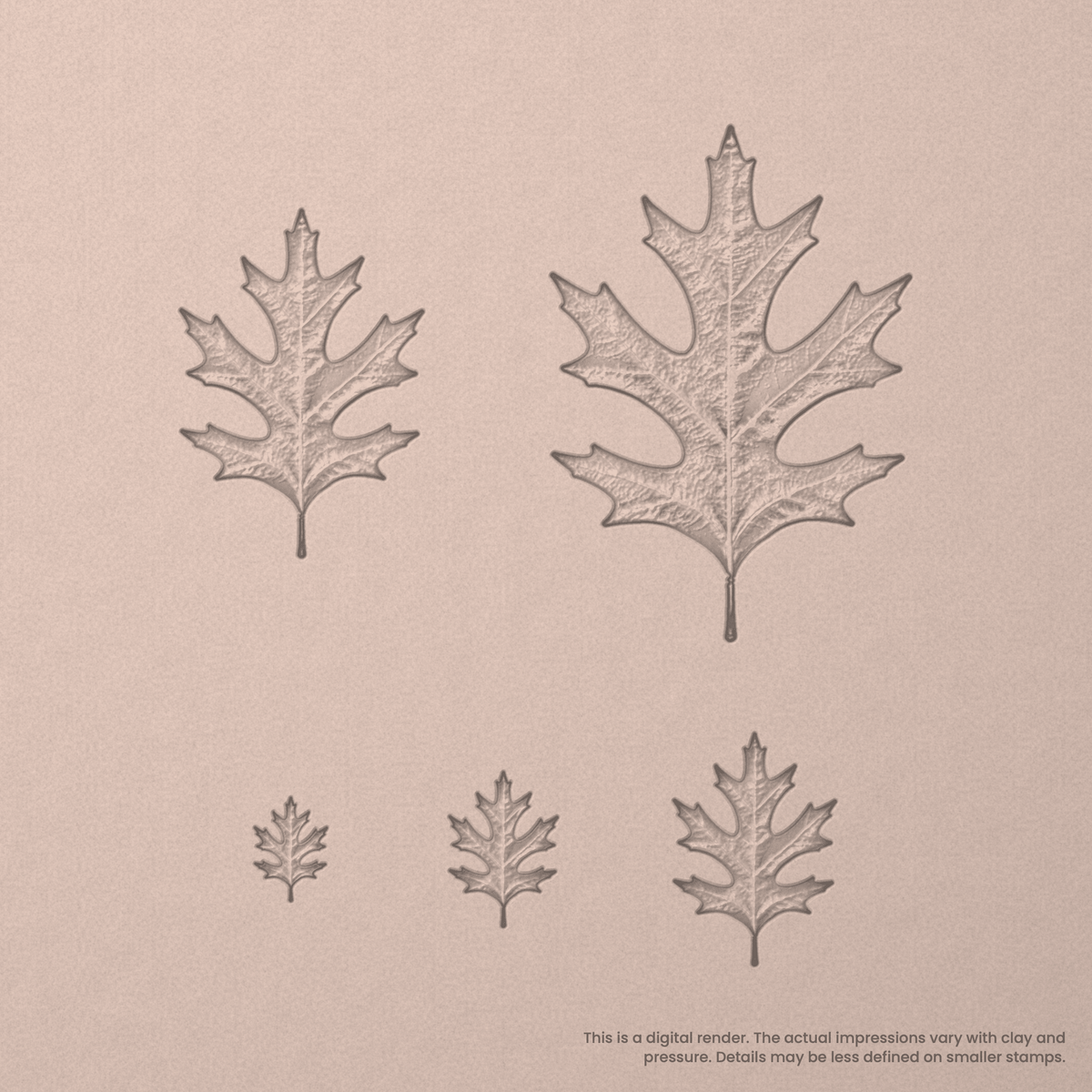 Pin Oak Leaf Stamps - Photo Textured - Ceramind® Tools