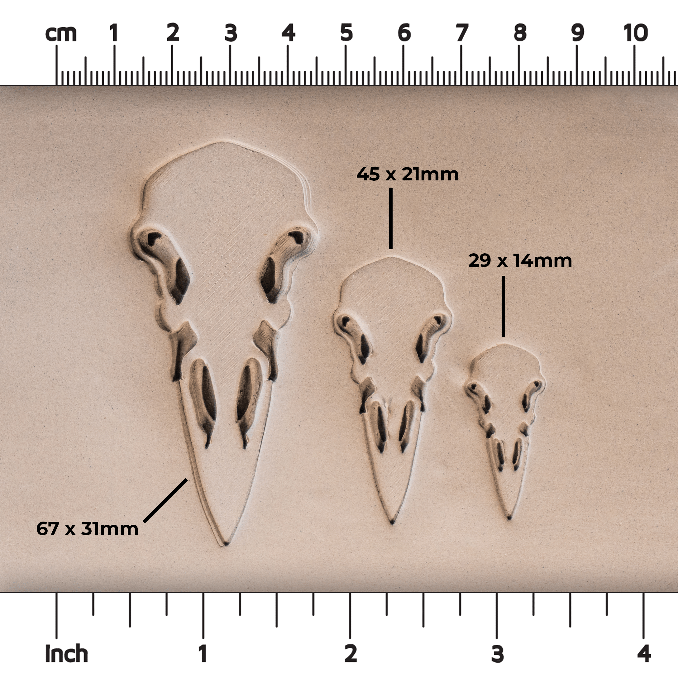 Raven Skull Stamps - Ceramind® Tools