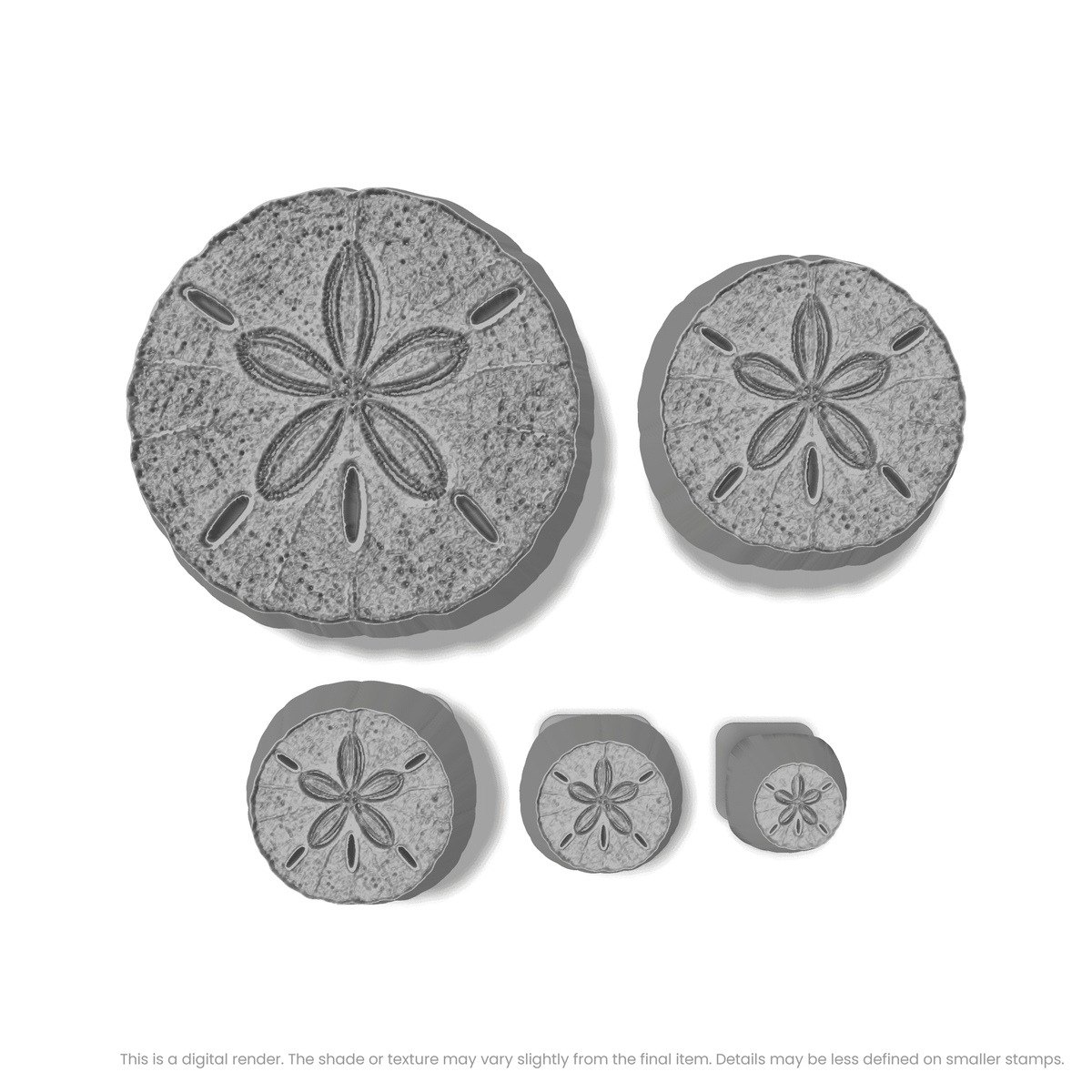 Sand Dollar Stamps - Photo Textured - Ceramind® Tools