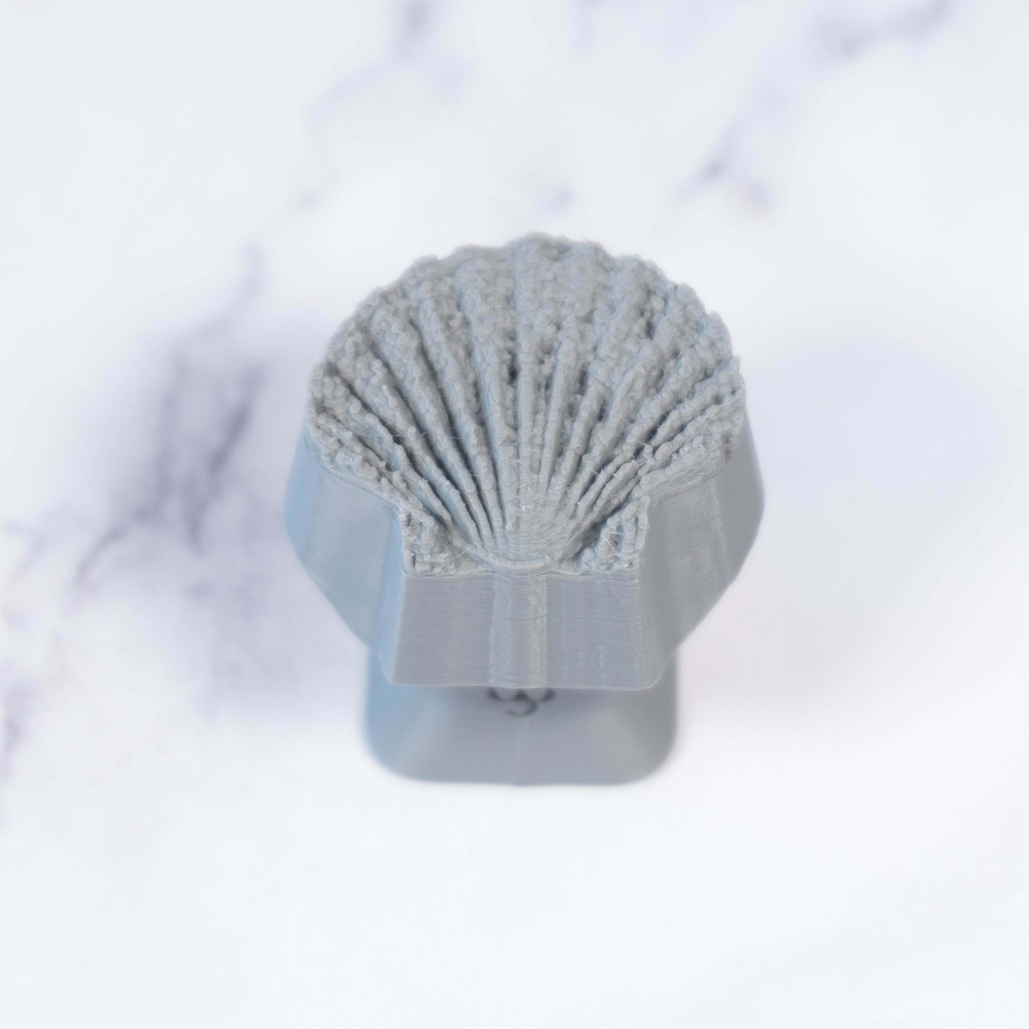 Scallop Shell Stamp - Photo Textured - Style 1 - Ceramind® Tools