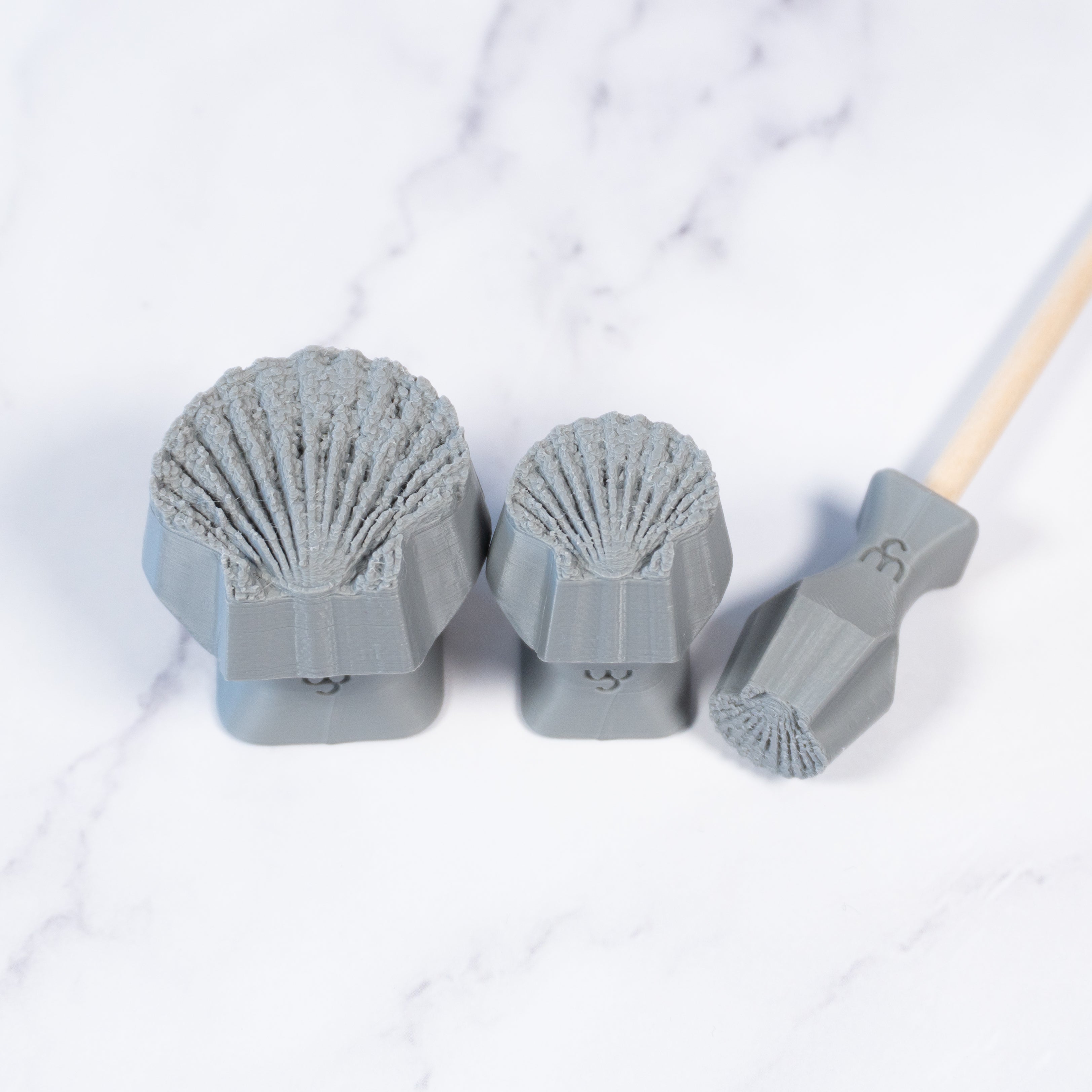 Scallop Shell Stamp - Photo Textured - Style 1 - Ceramind® Tools