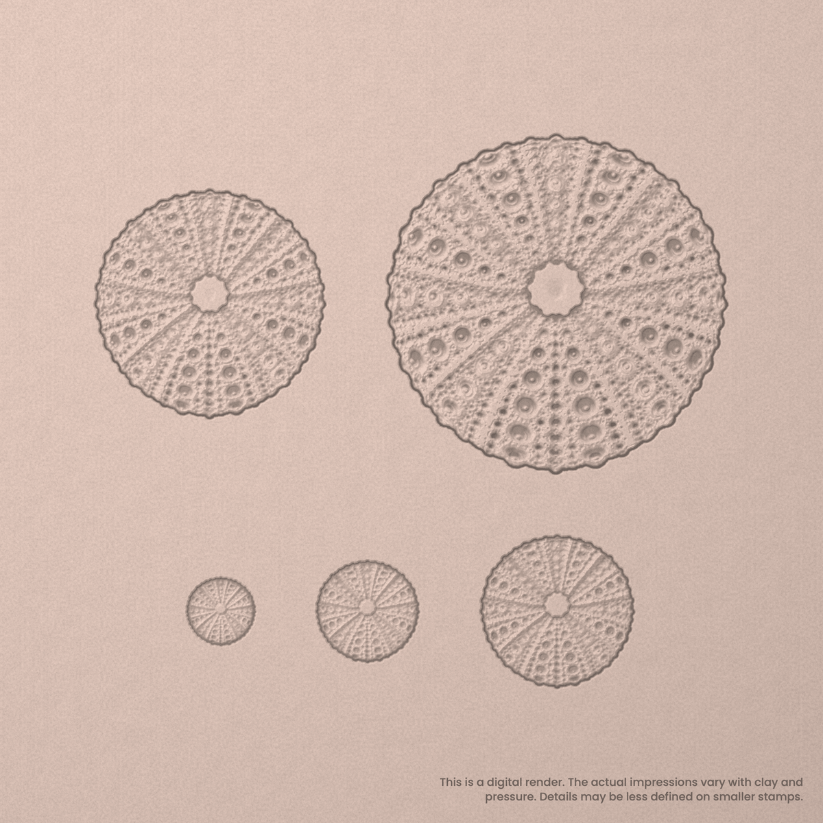 Sea Urchin Stamps - Photo Textured - Ceramind® Tools