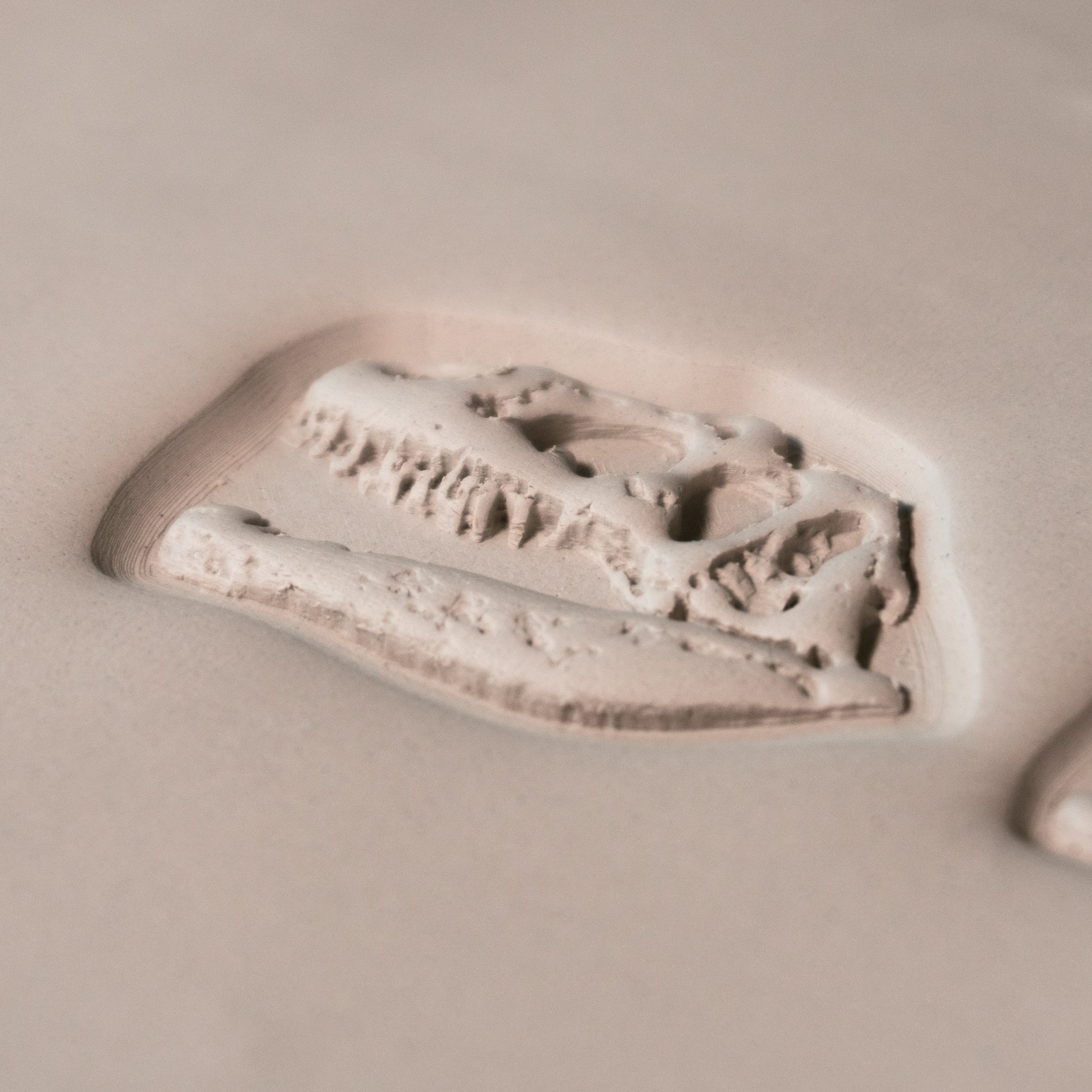 T - Rex Dinosaur Skull Fossil Stamp - Photo Textured - Style 1 - Ceramind® Tools