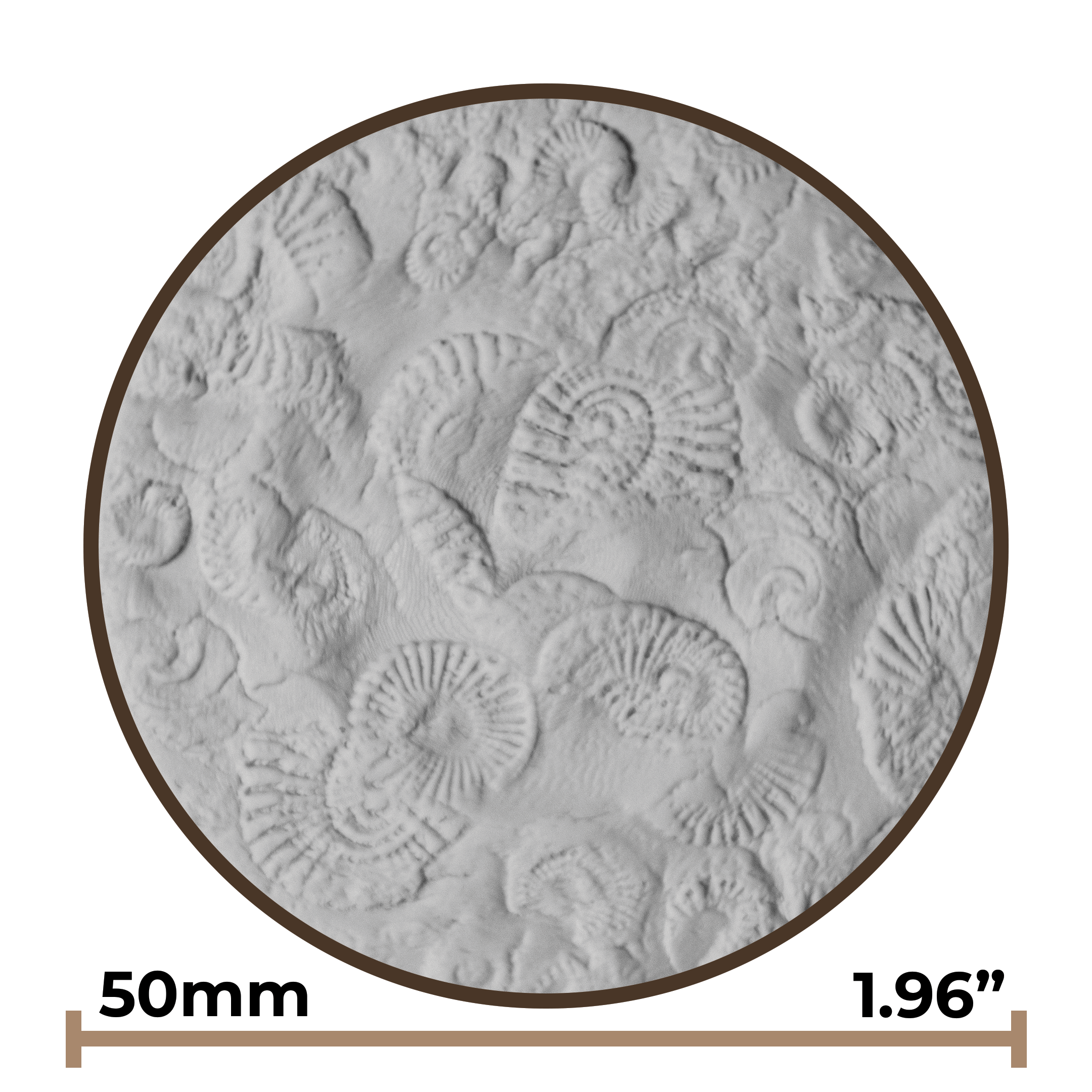 Texture Ball | Fossil Texture - Style 01 - Ceramind® Tools