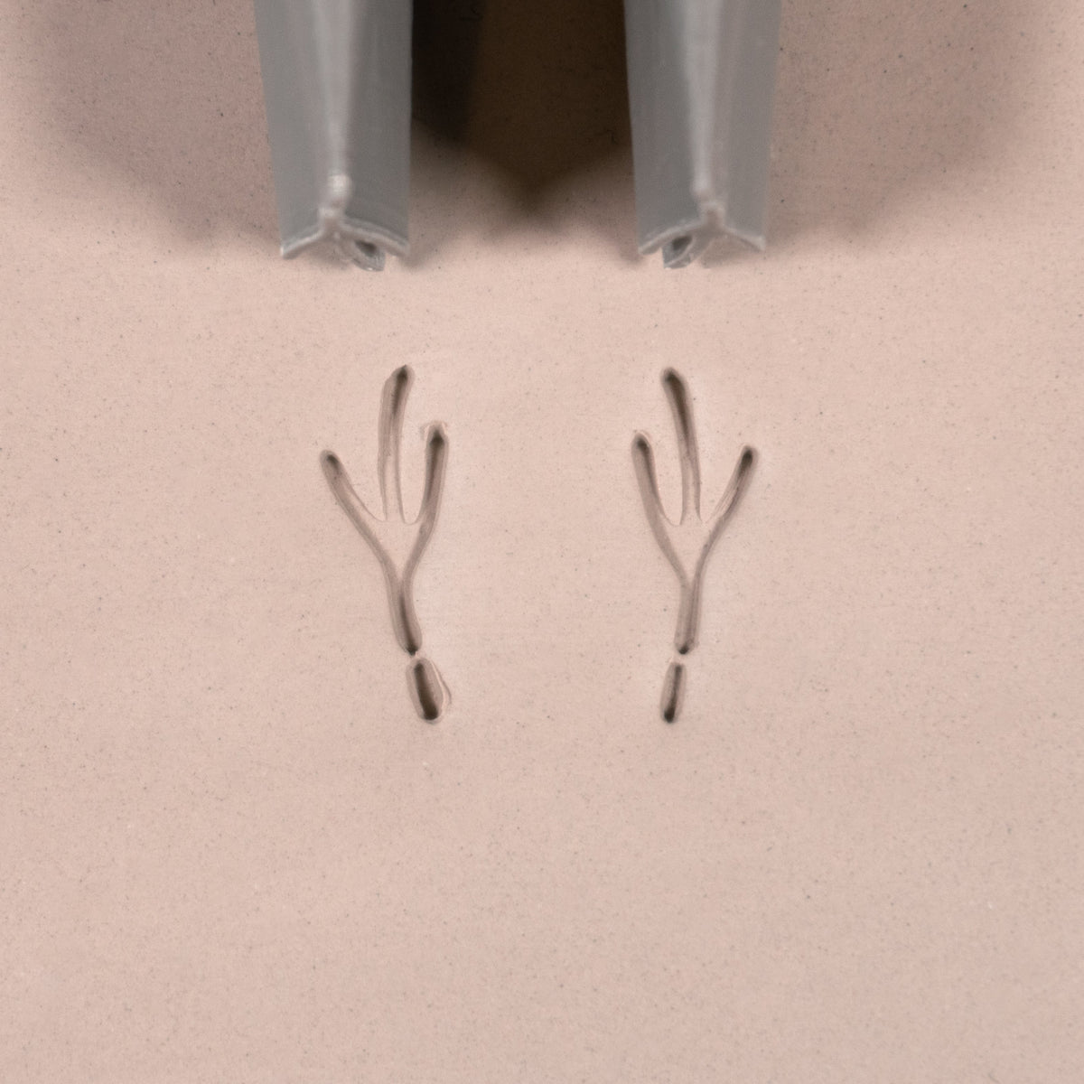 Birds - Ceramind® Tools