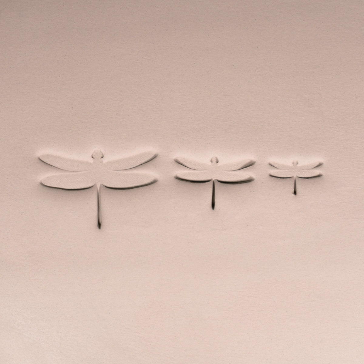 Insects - Ceramind® Tools