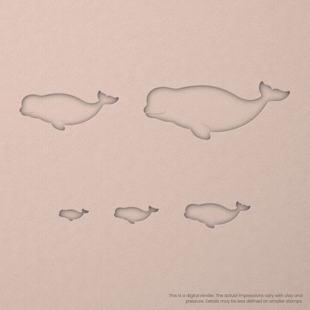 Beluga Whale Stamps - Ceramind® Tools