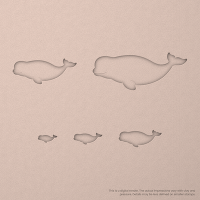 Beluga Whale Stamps - Ceramind® Tools