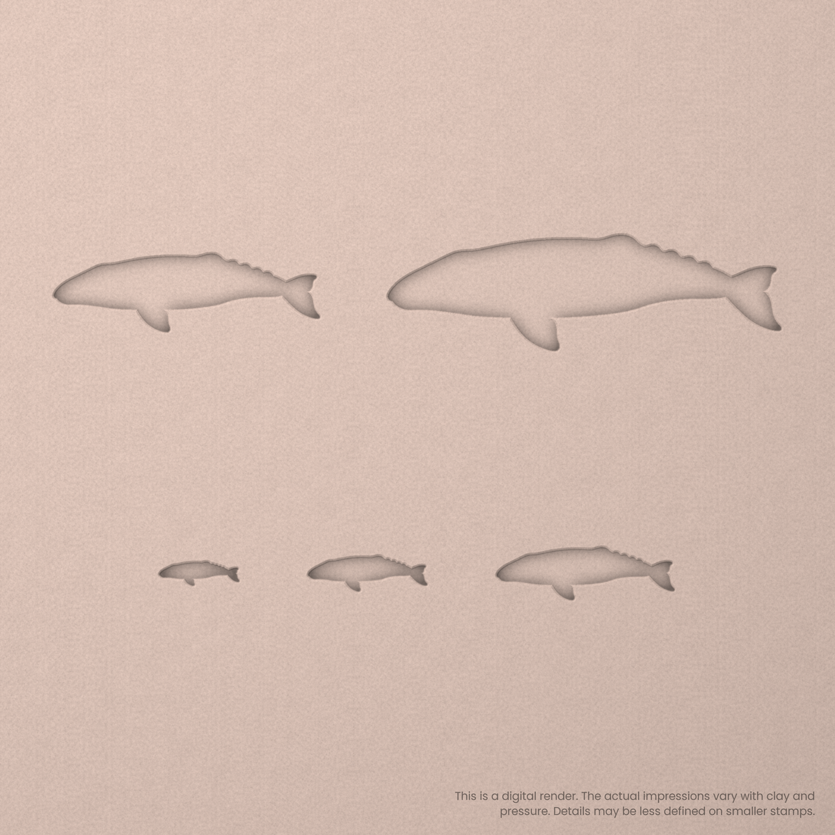 Grey Whale Stamps - Ceramind® Tools