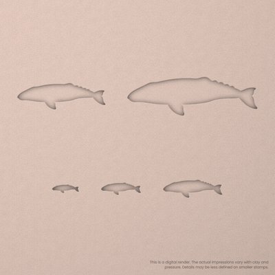 Grey Whale Stamps - Ceramind® Tools