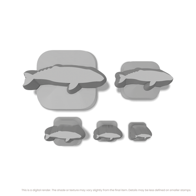 Grey Whale Stamps - Ceramind® Tools