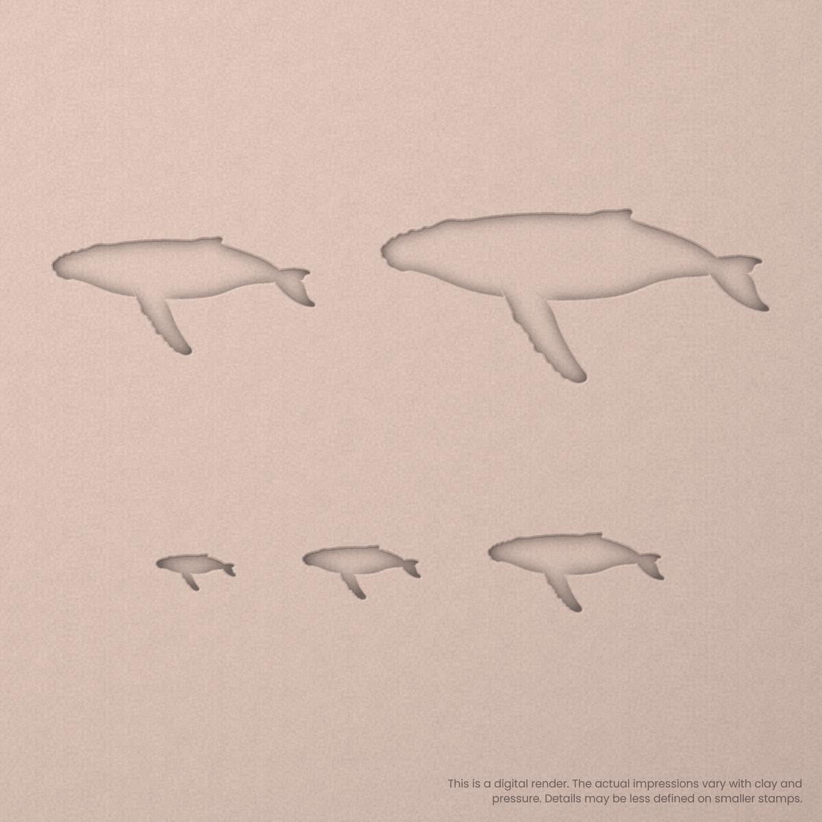 Humpback Whale Stamps - Ceramind® Tools