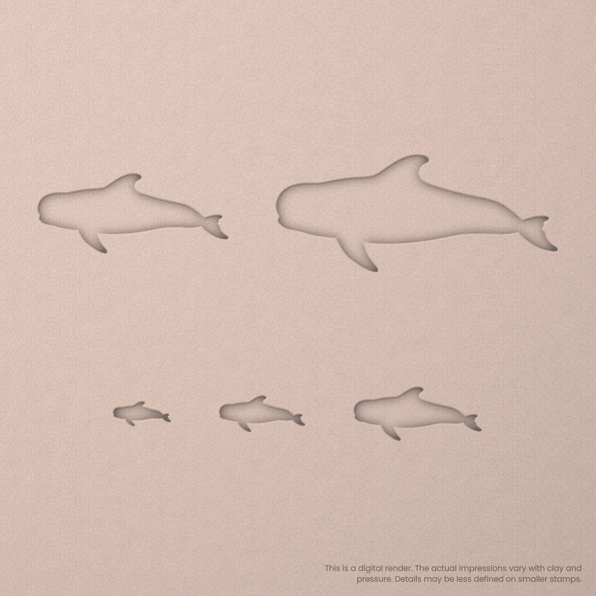 Pilot Whale Stamps - Ceramind® Tools