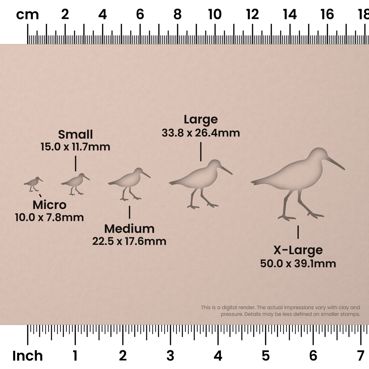 Piping Plover Stamps