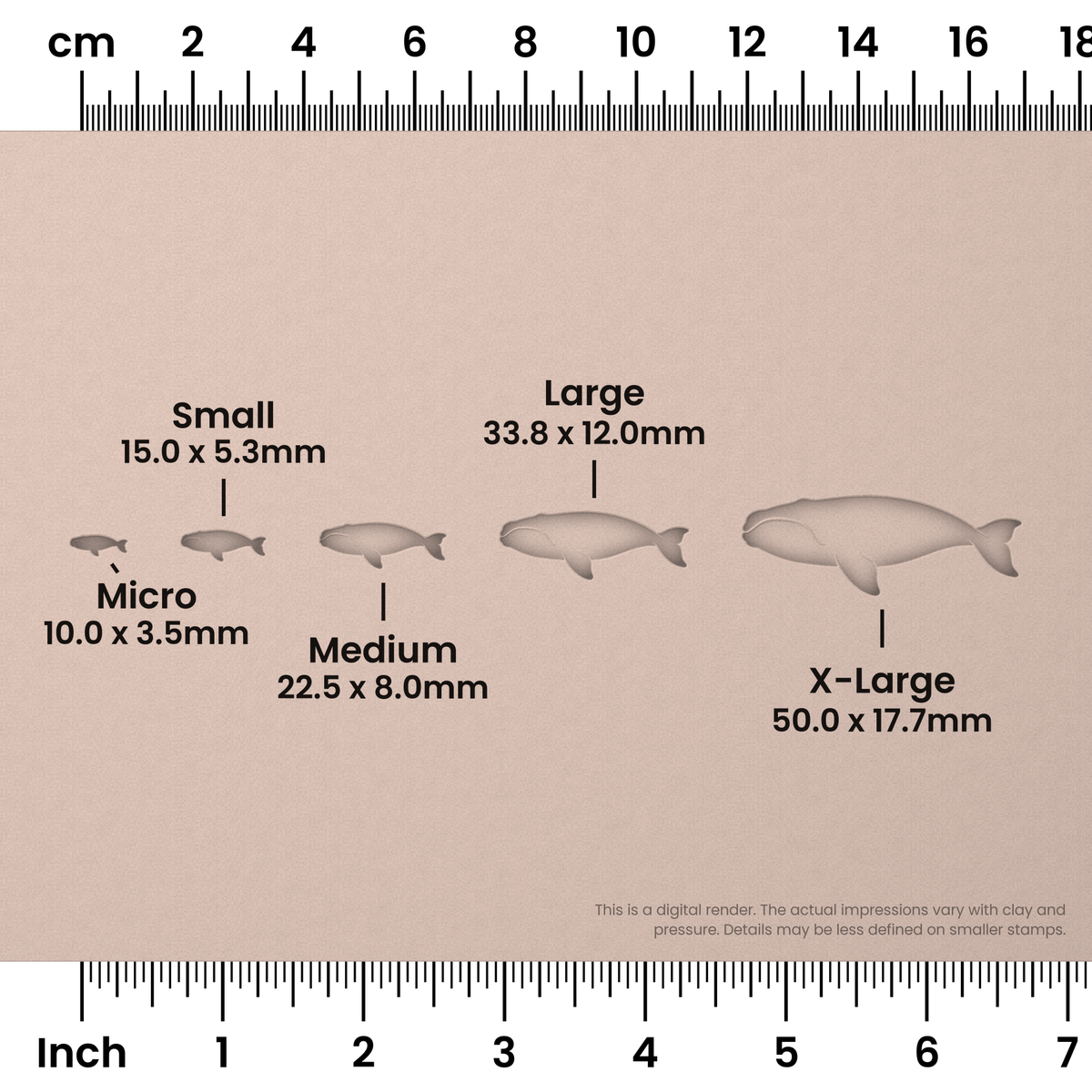 Right Whale Stamps - Ceramind® Tools